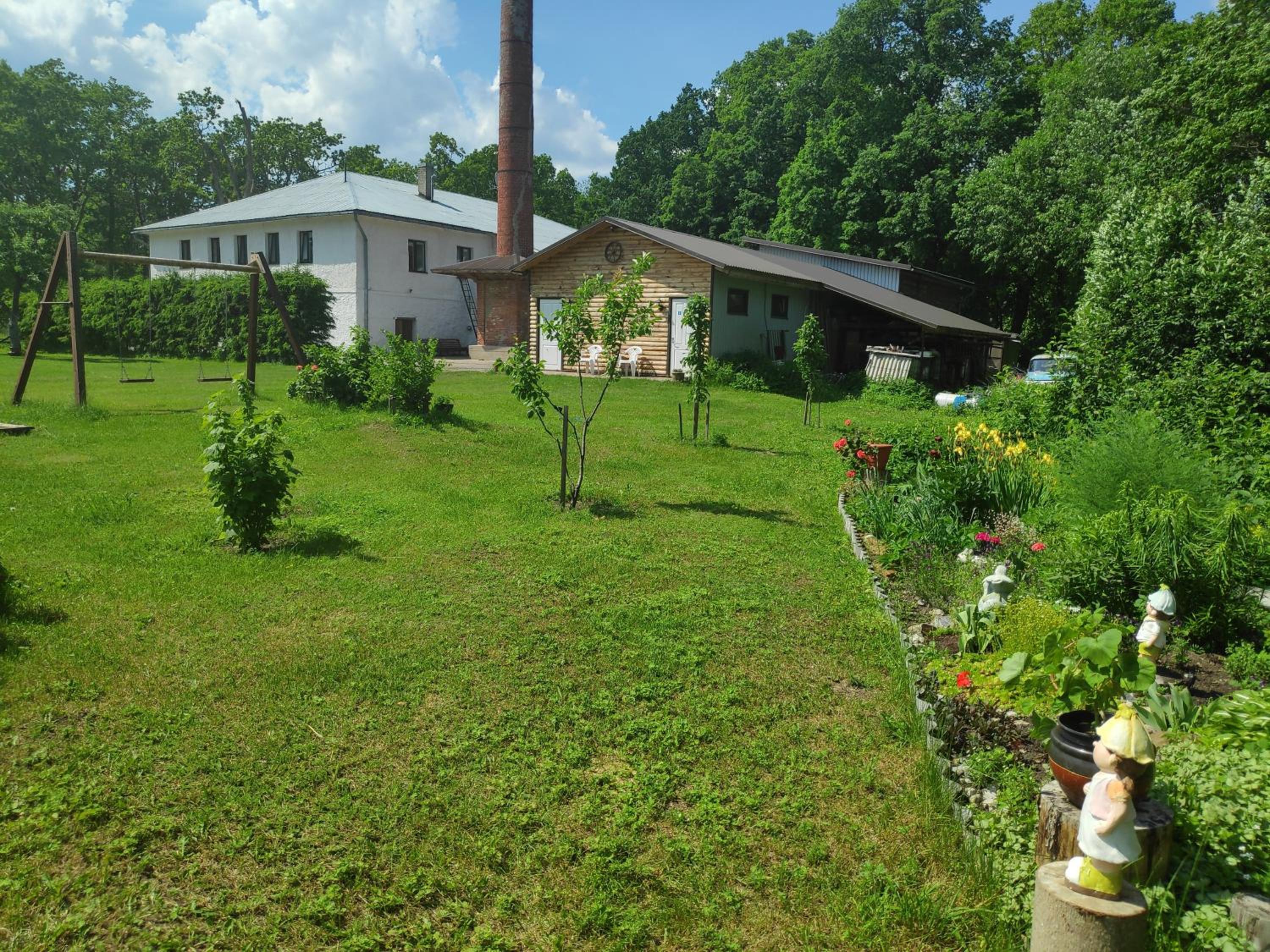 Photo 19