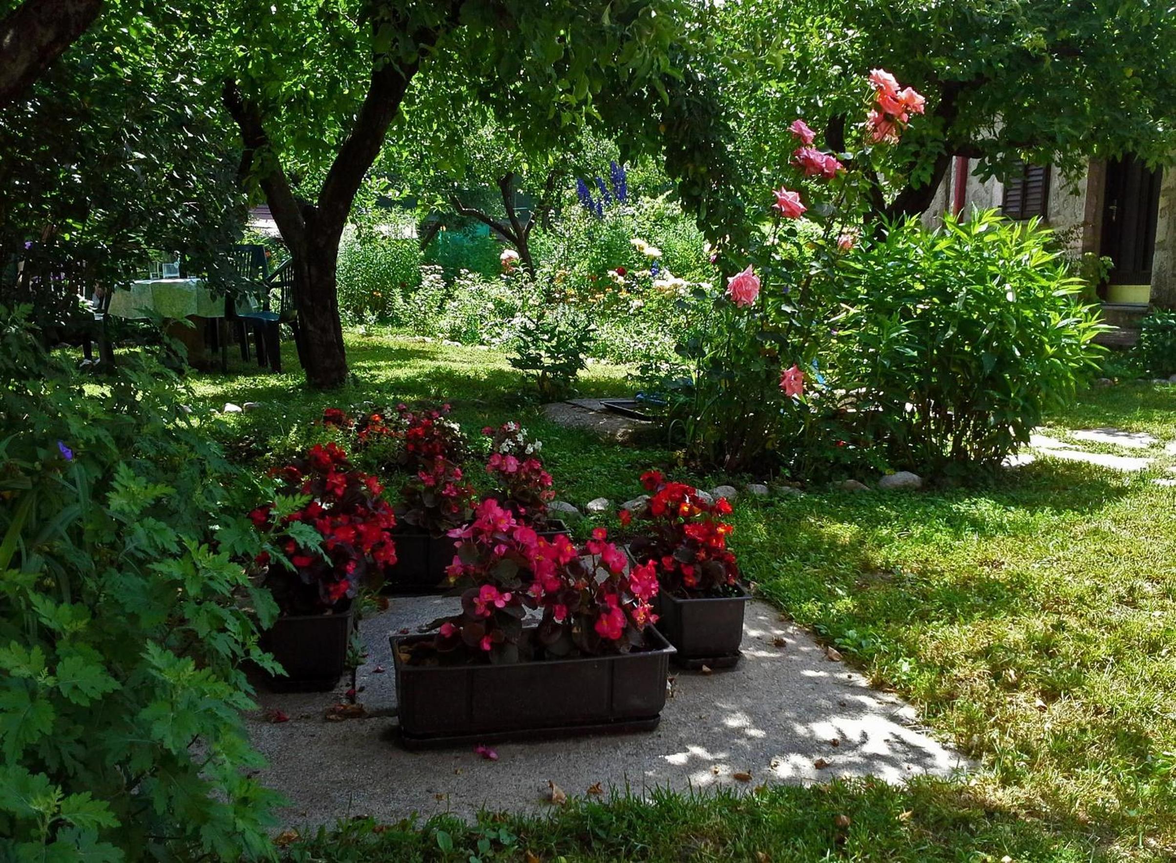 Photo 13