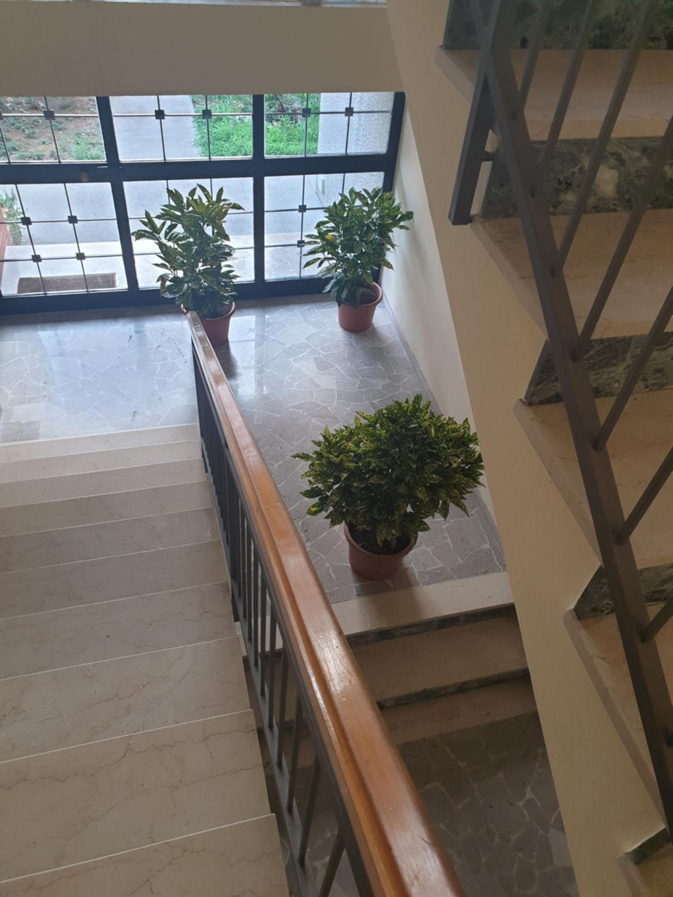 Photo 123