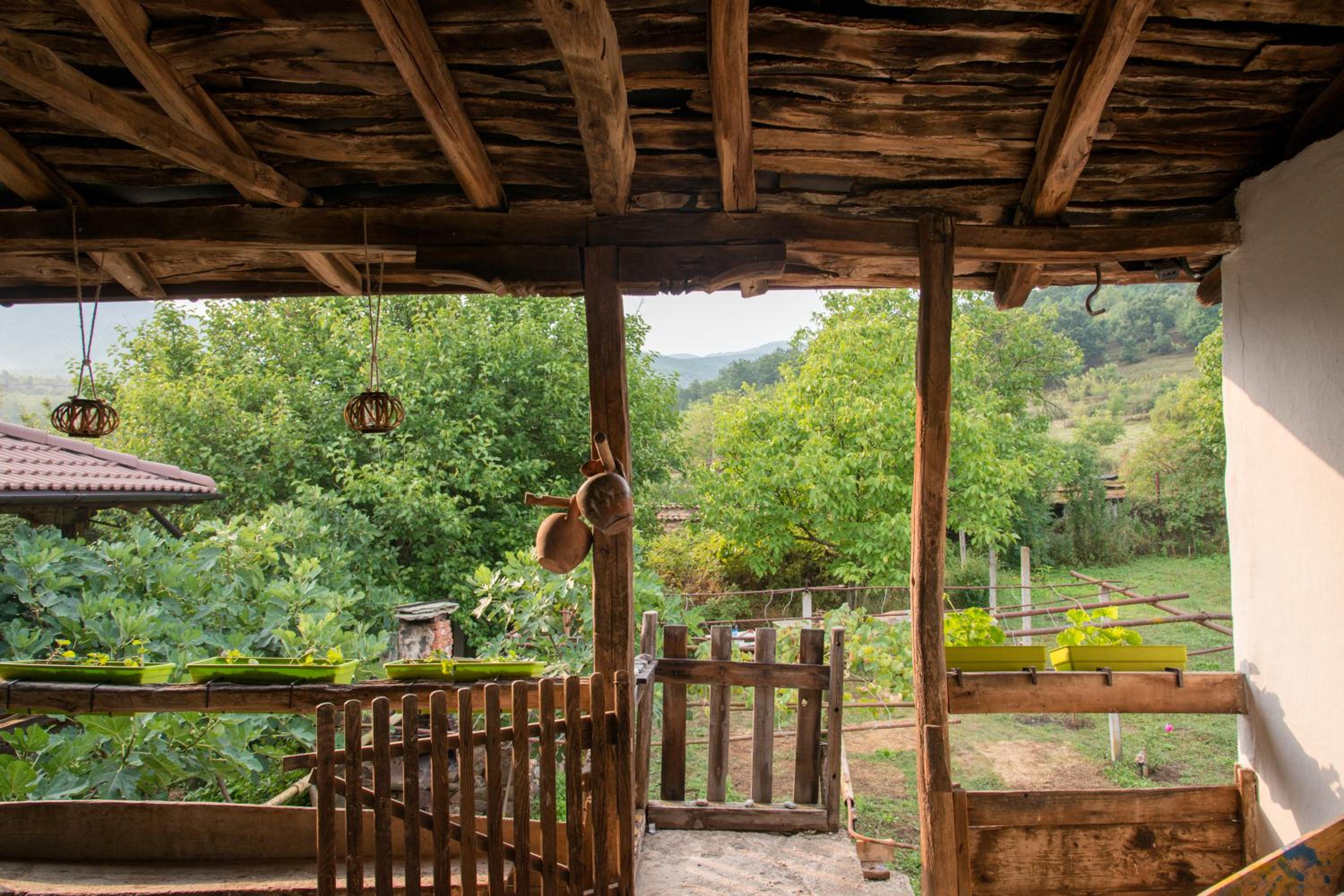 The Old Nest