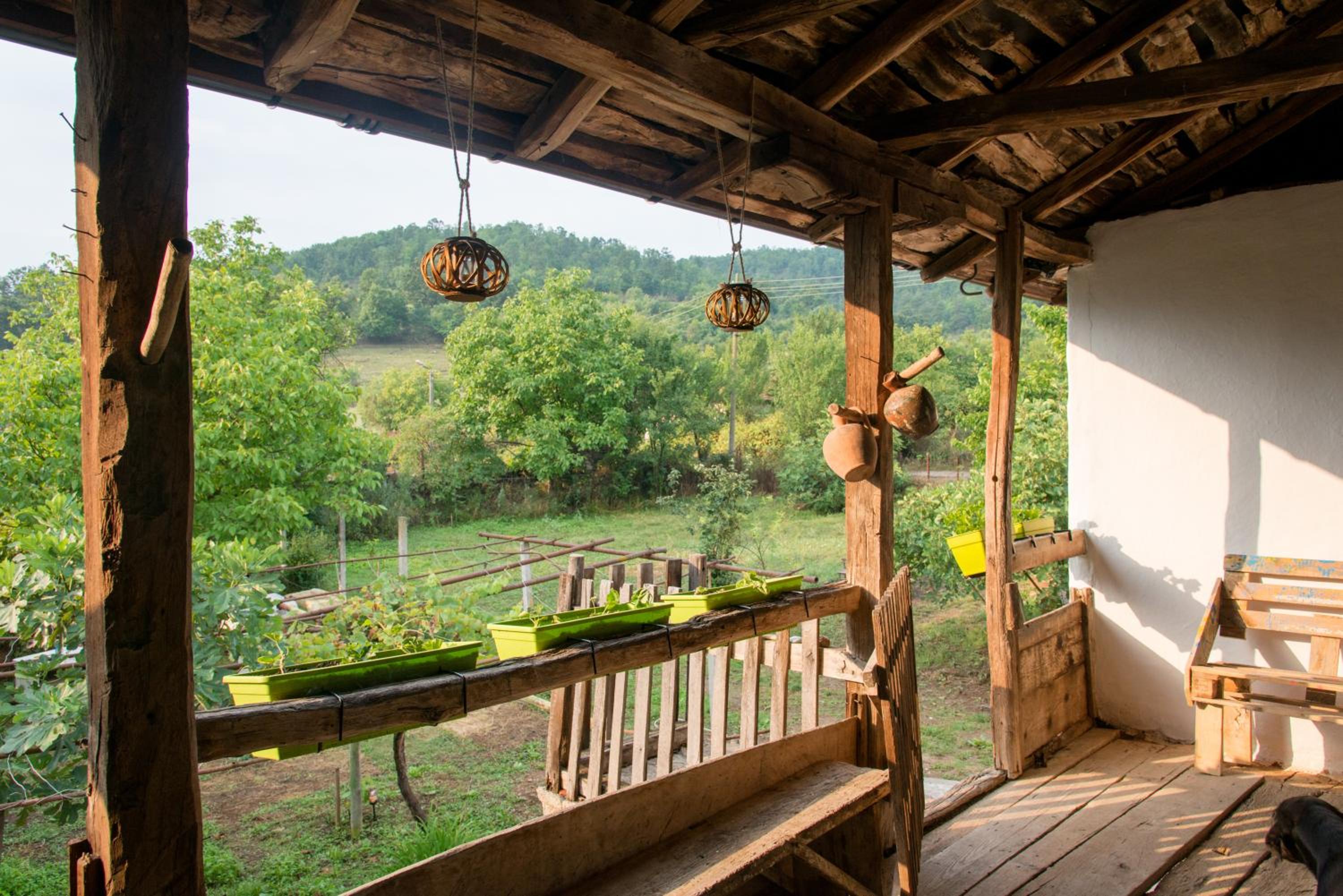 The Old Nest