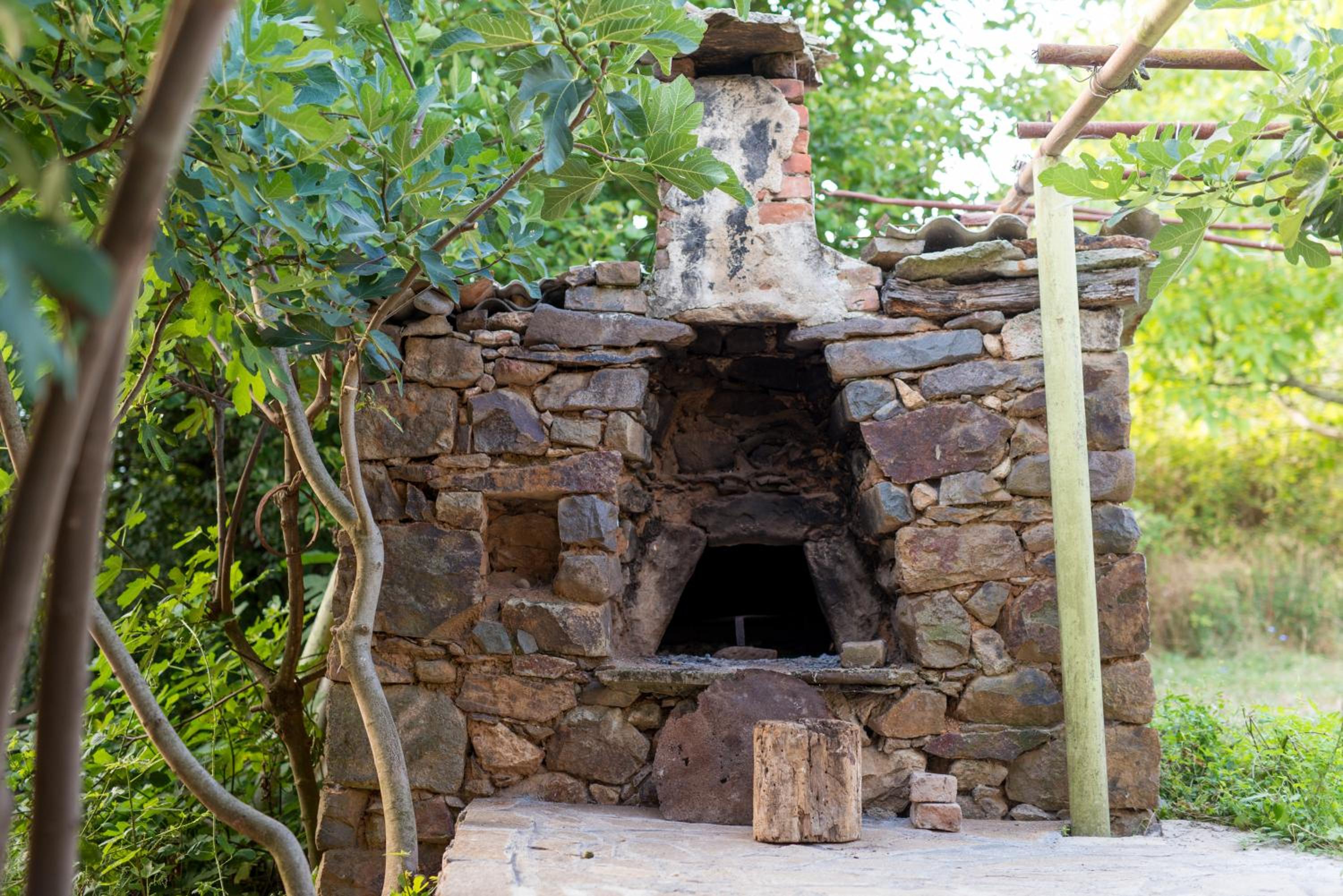 The Old Nest