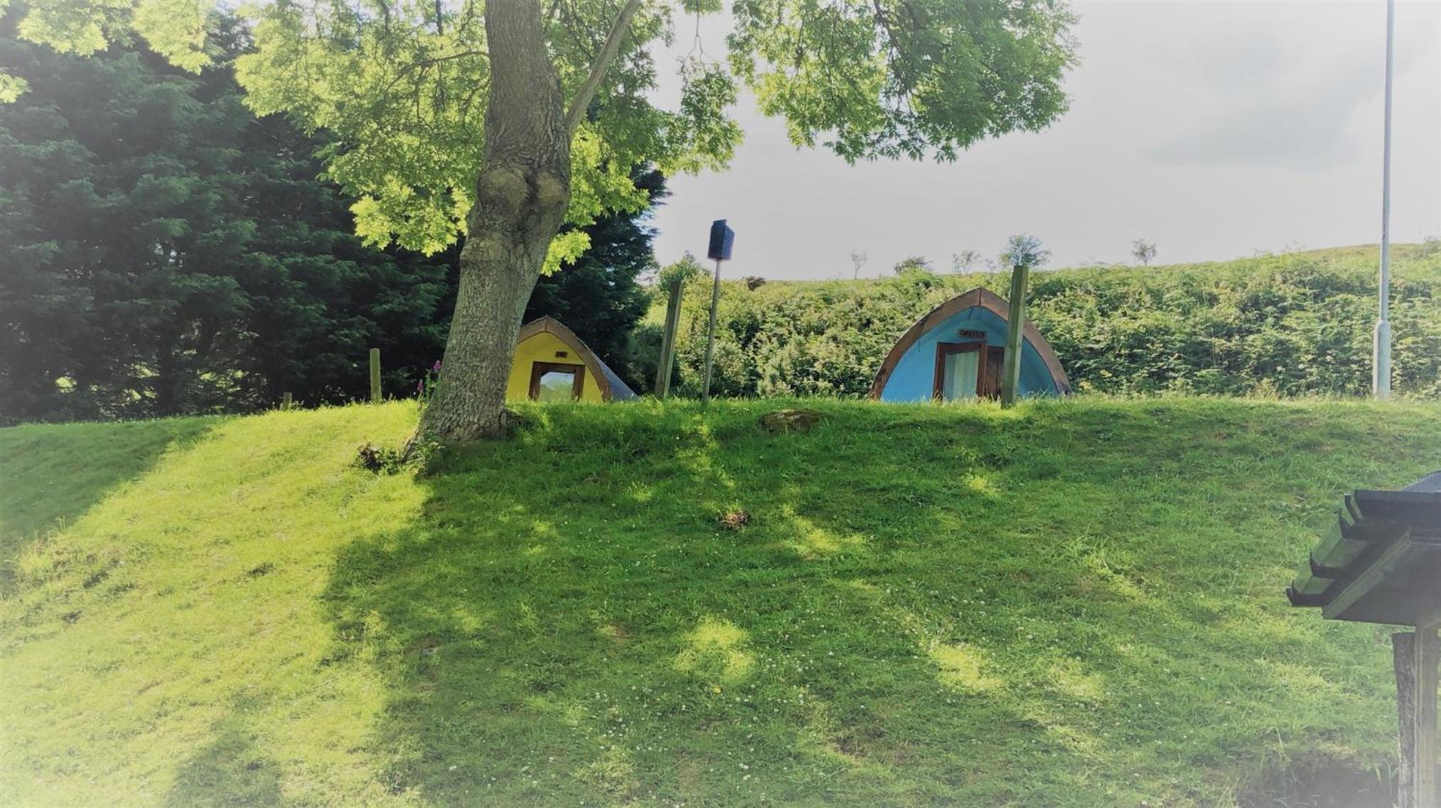 Photo 40