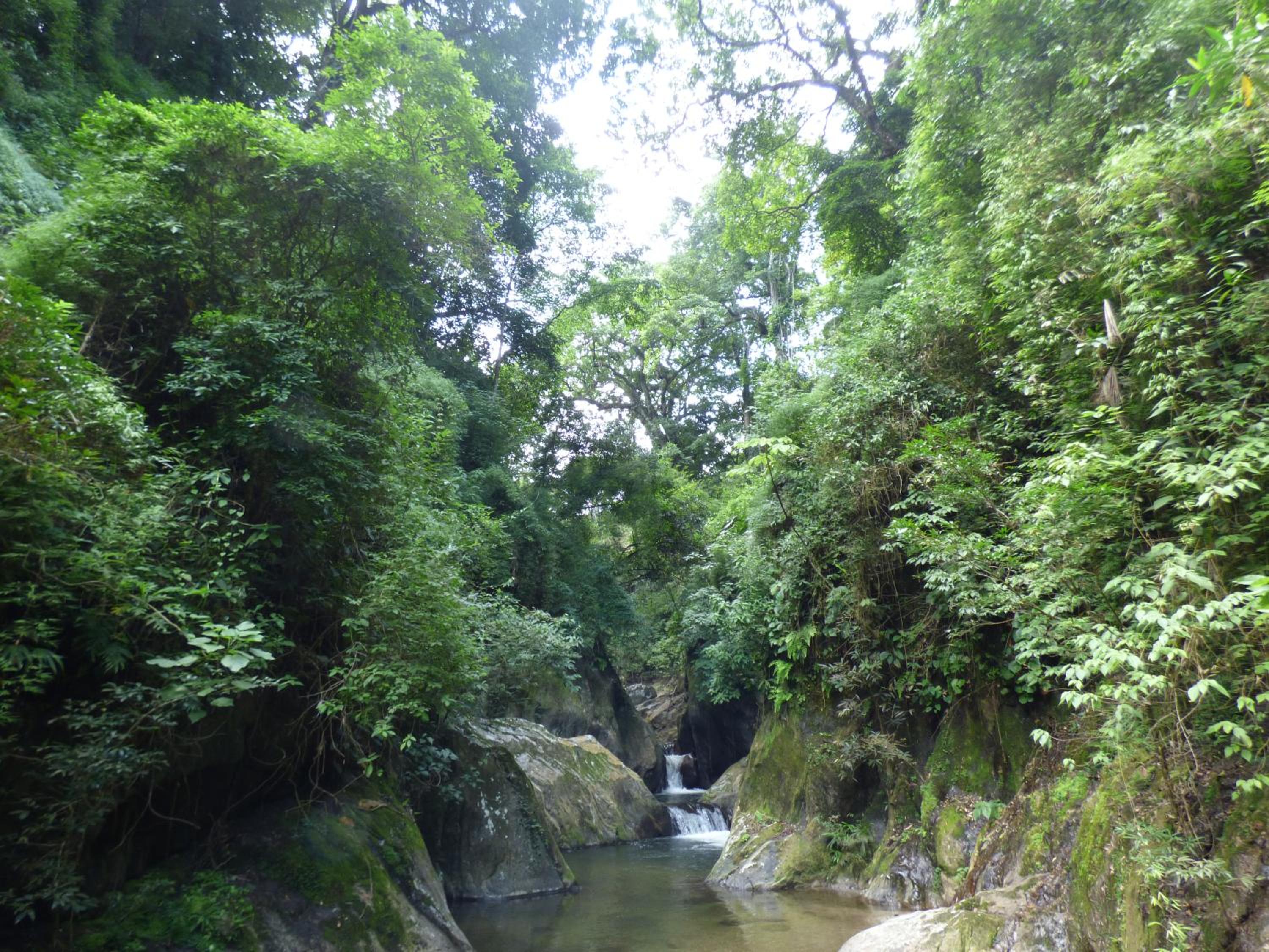 Hostal Alto de la Montaña