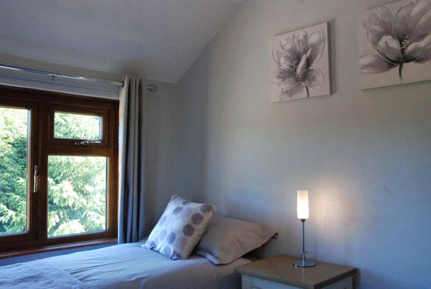 Hollyhock Cottage view 5