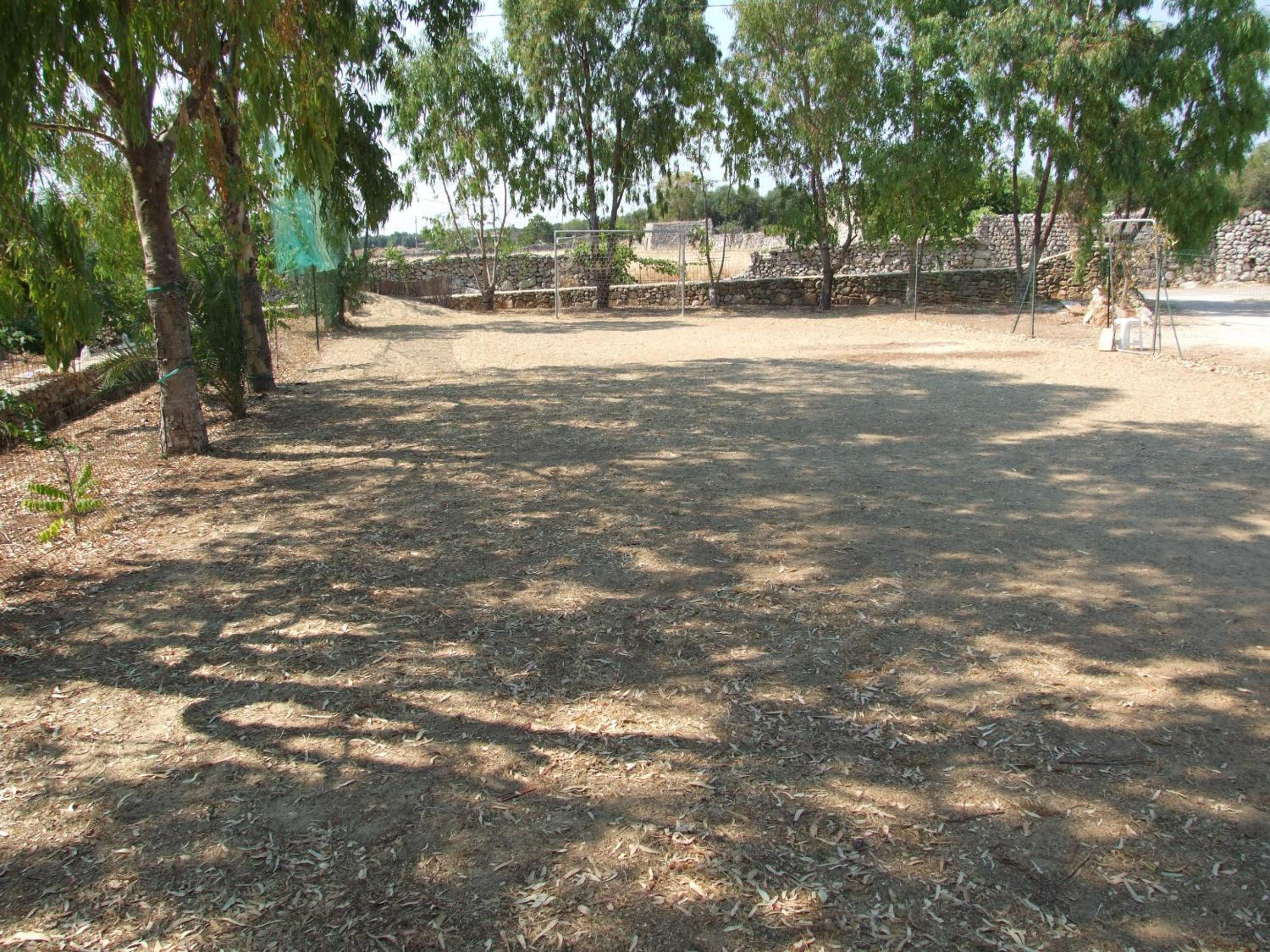 Photo 21
