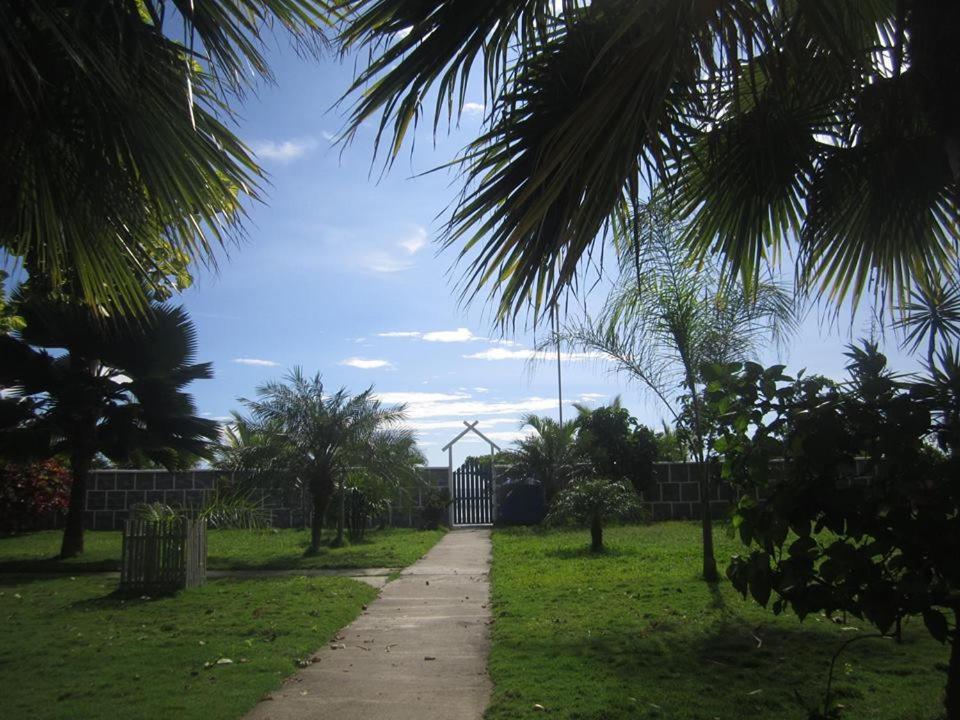 Photo 36