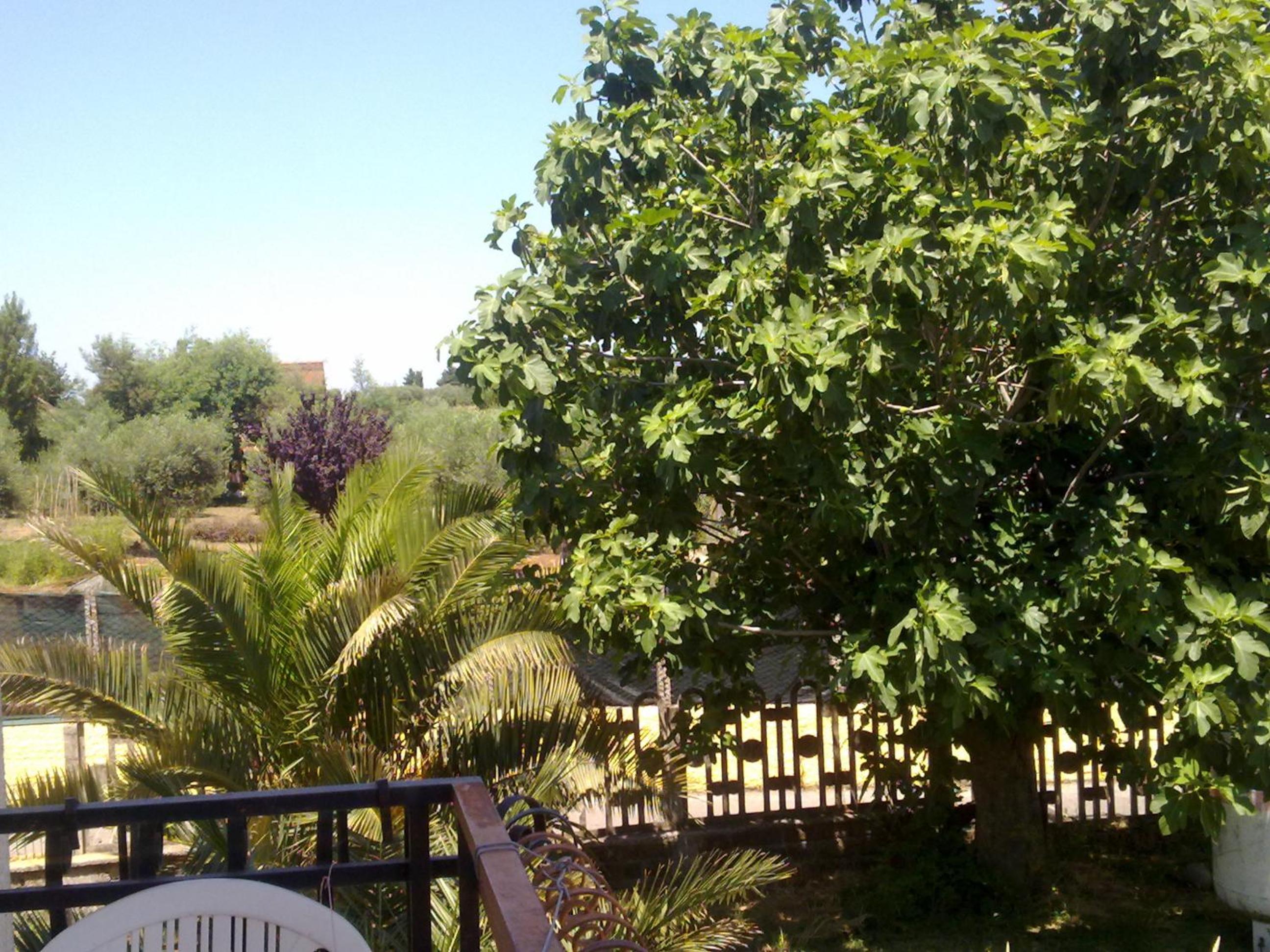 A Casa Mia photo 2