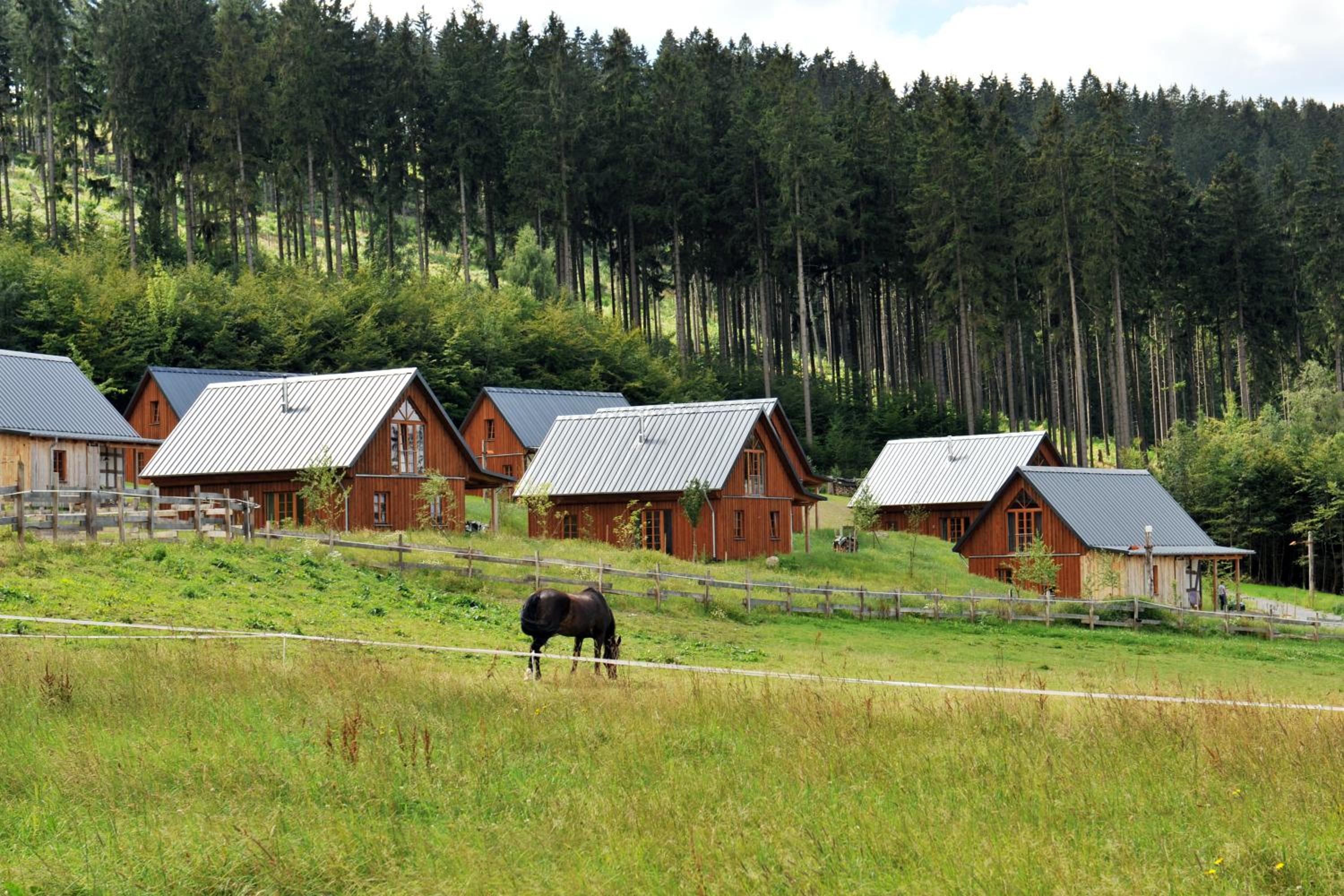 Bergdorf LiebesGrün