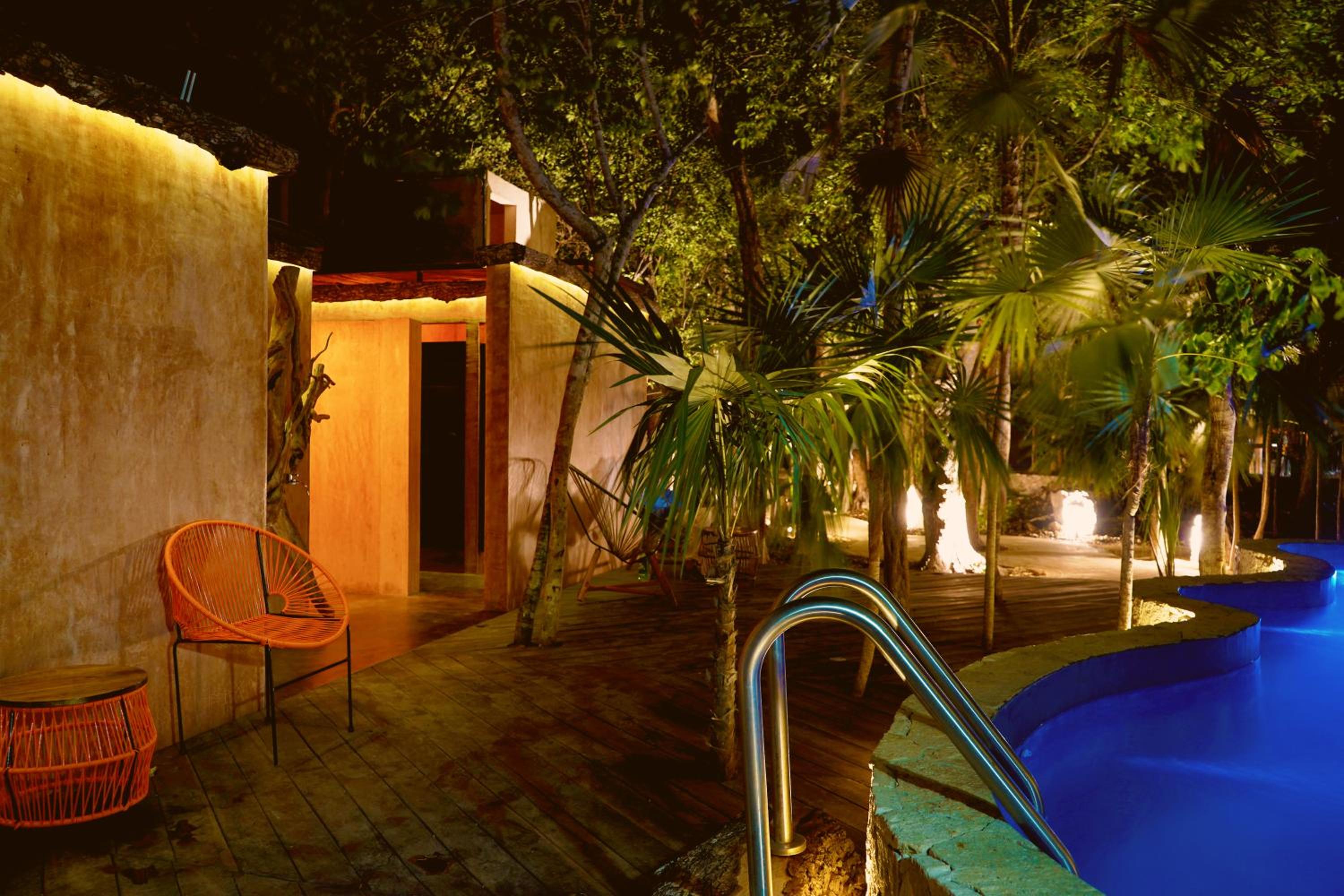 Bufo Alvarius - Property Image 49