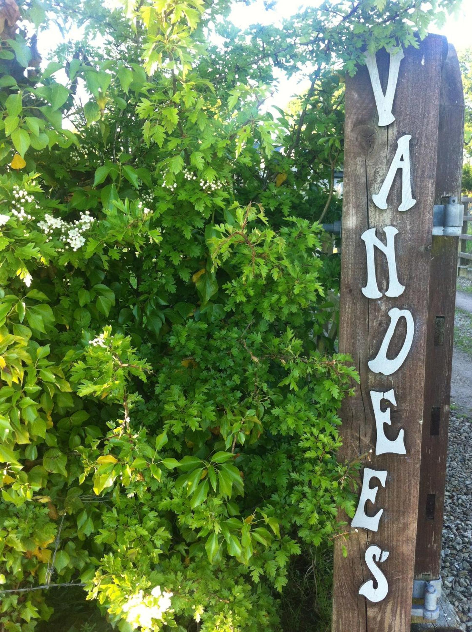 The Vandees view 3