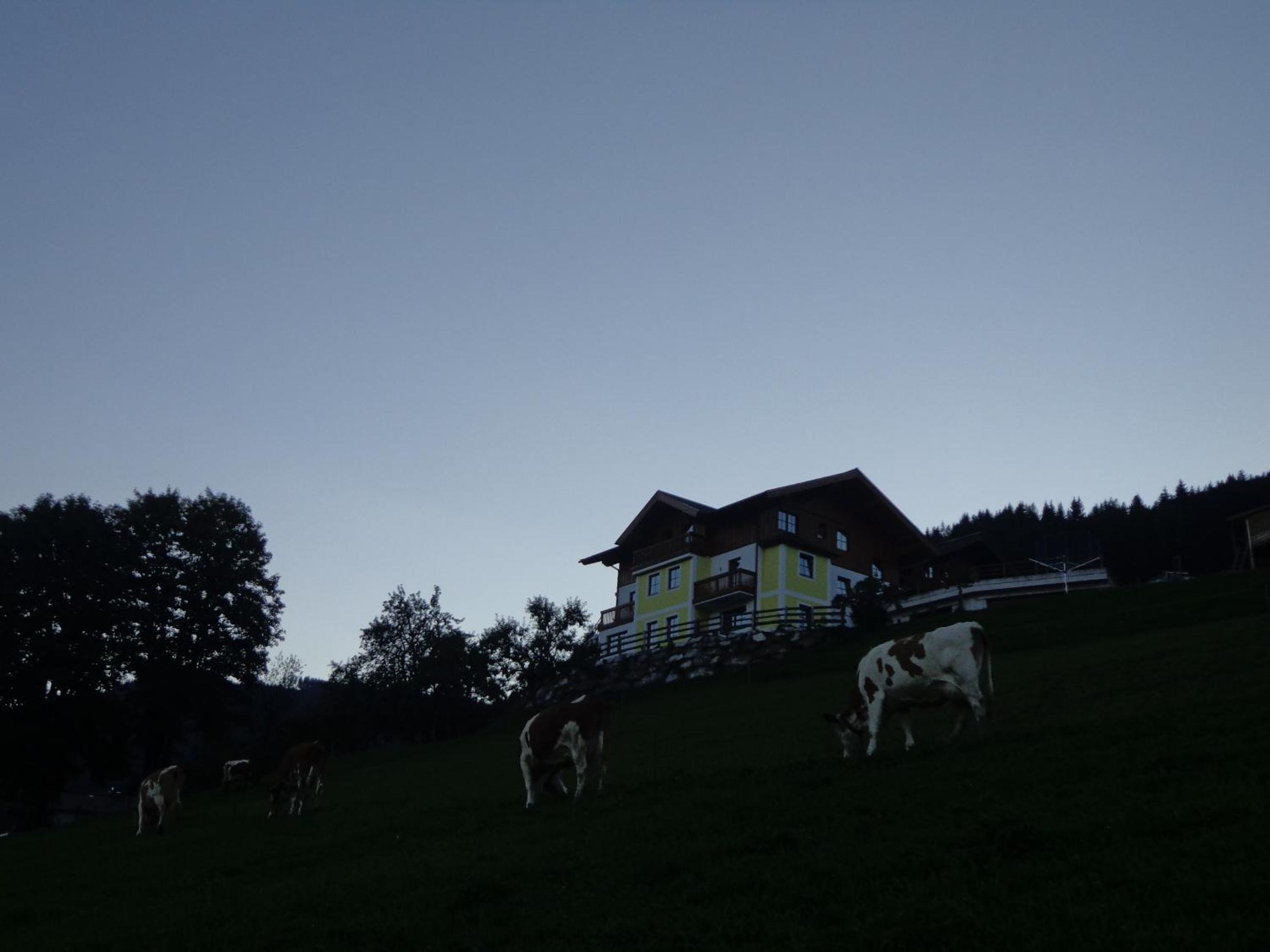 Bauernhof Unterbichl