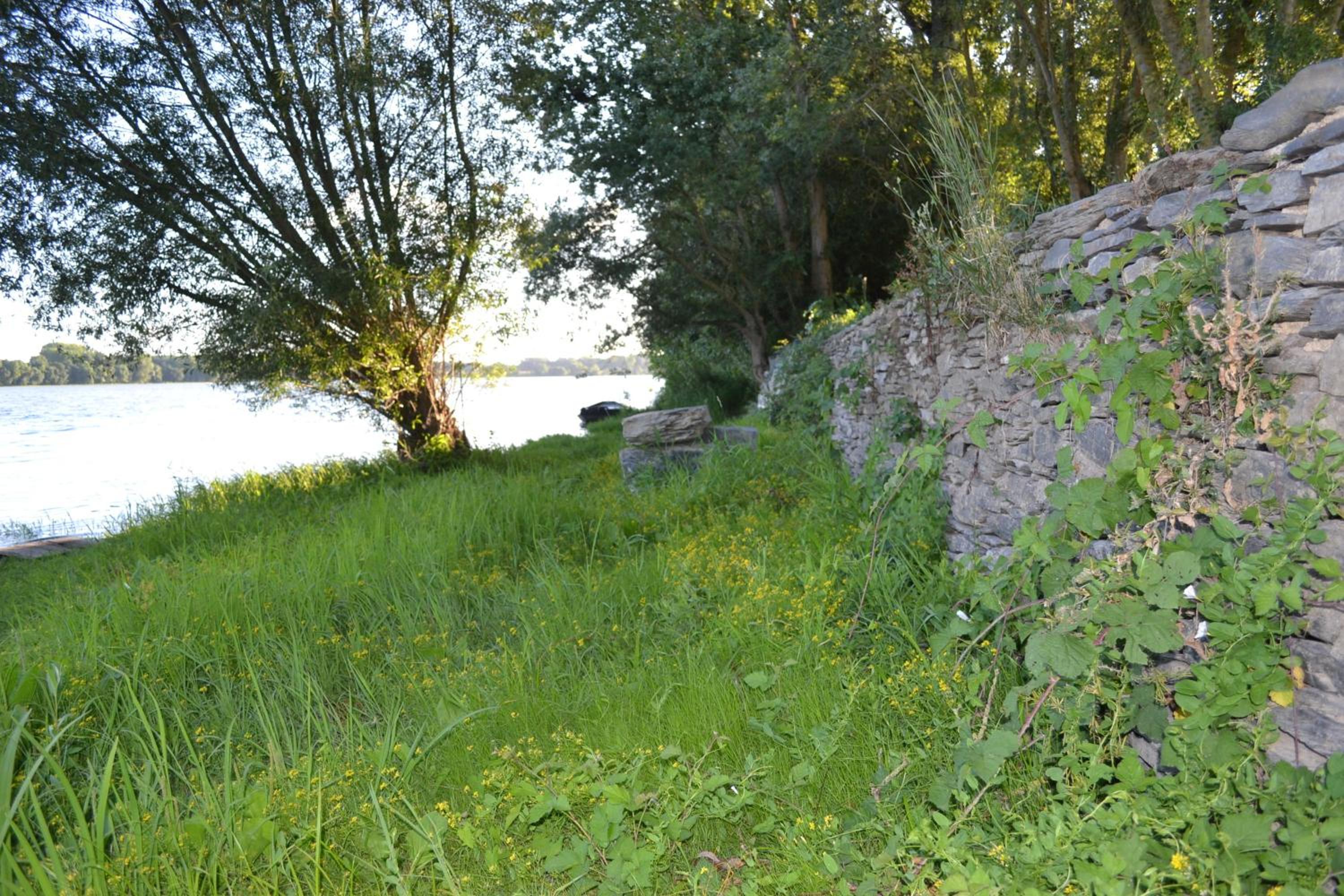 Photo 35