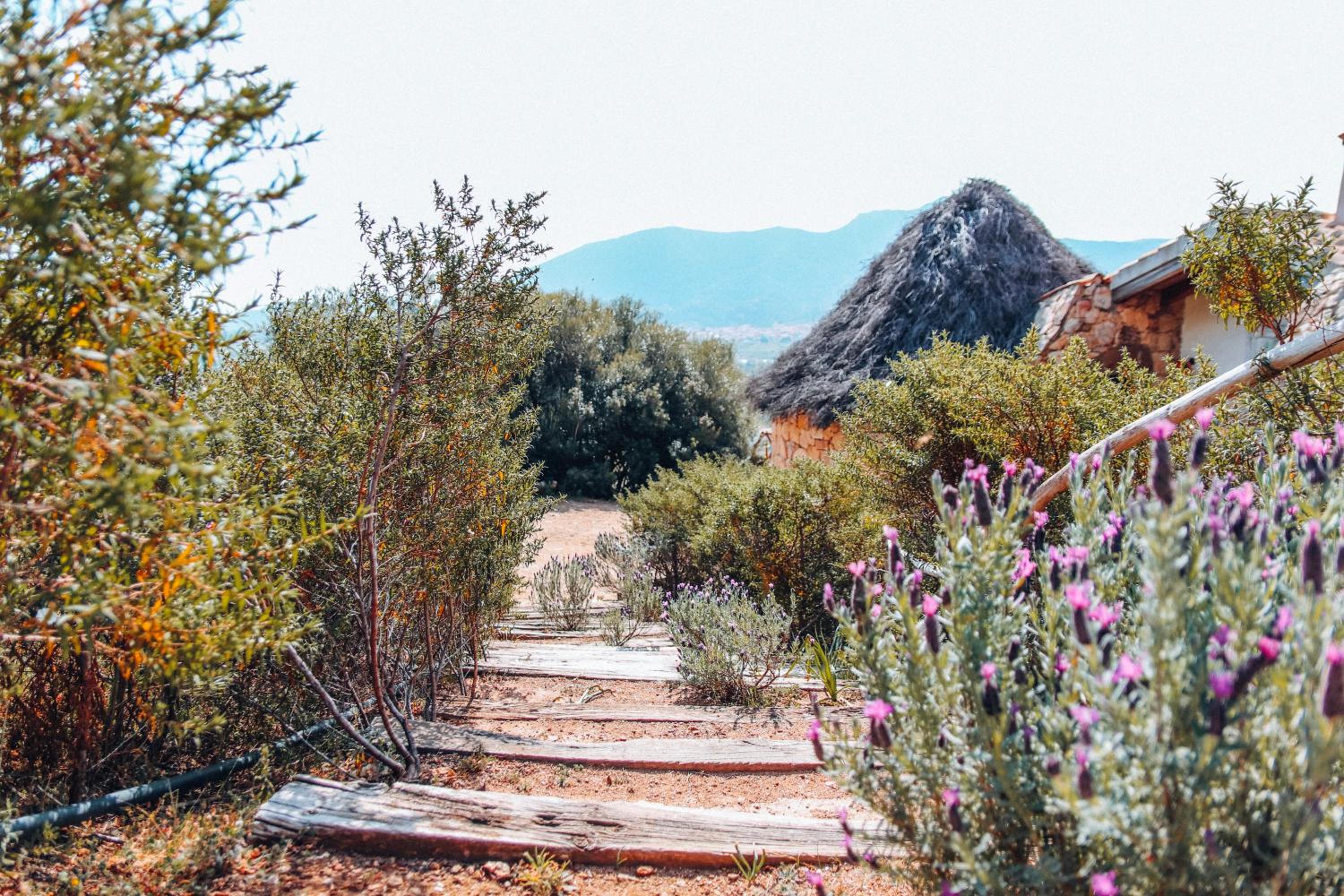Essenza Sardegna