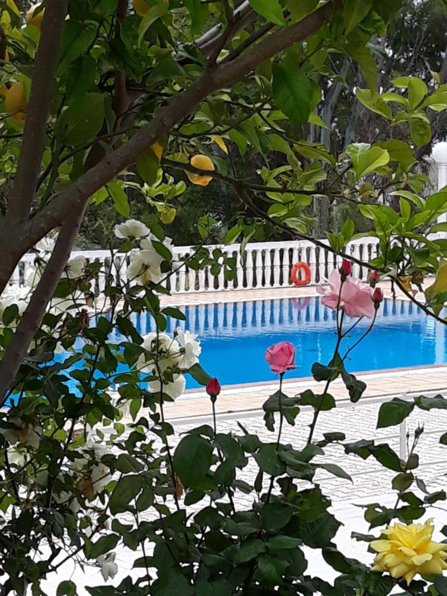 Kefallonia Bay Resort