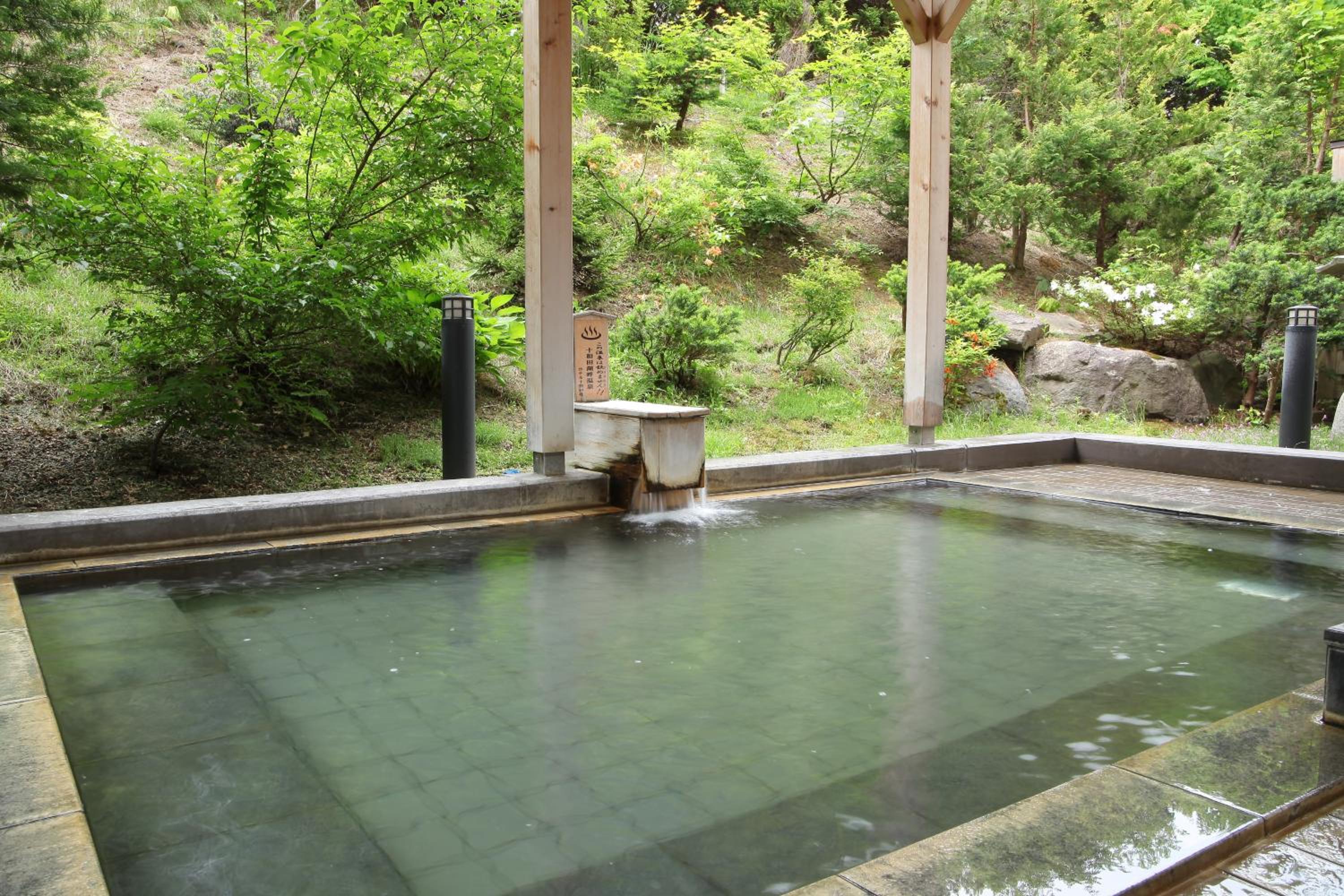 Hotel Towadaso