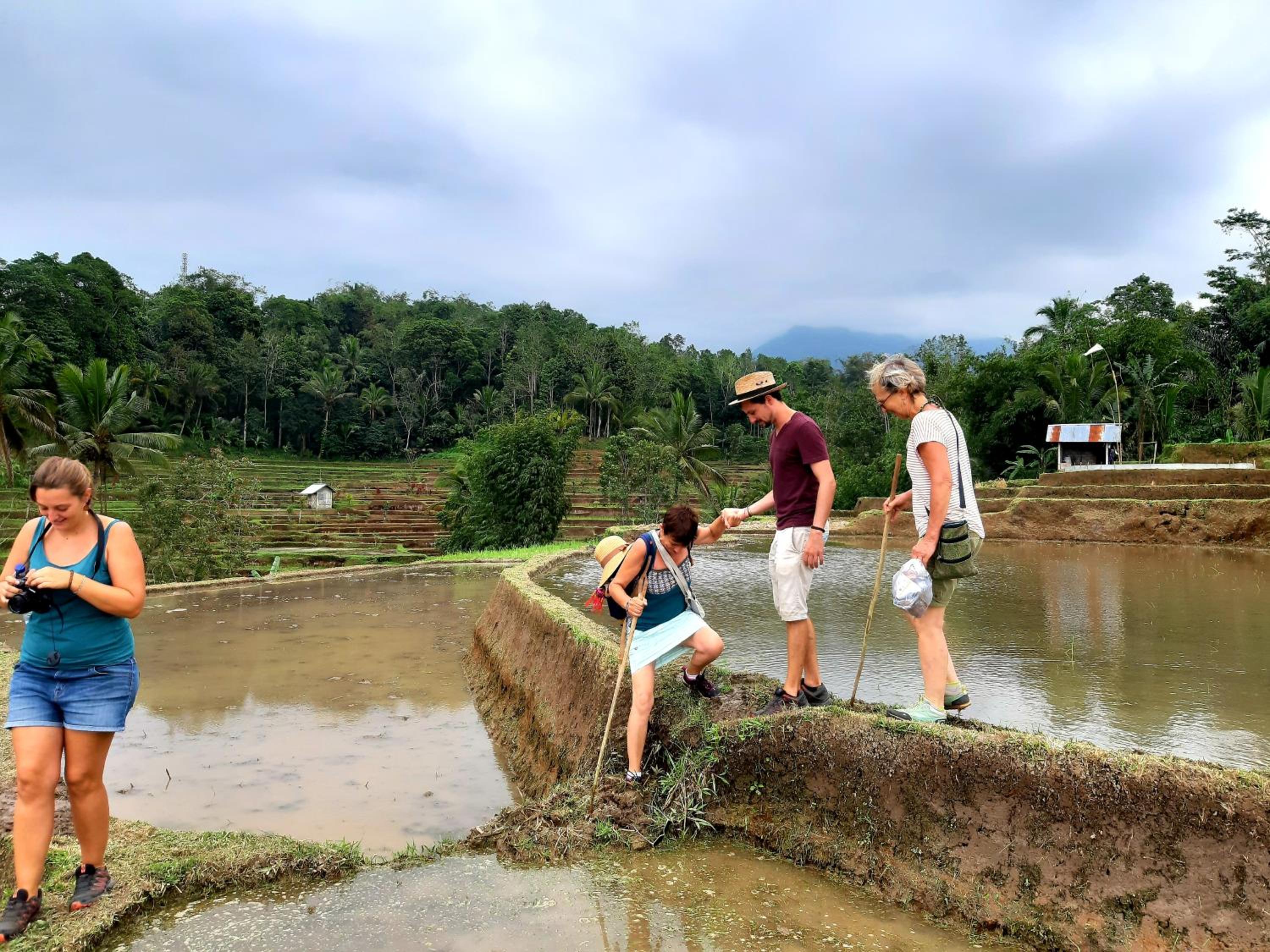 Tegal Jero Homestay view 3