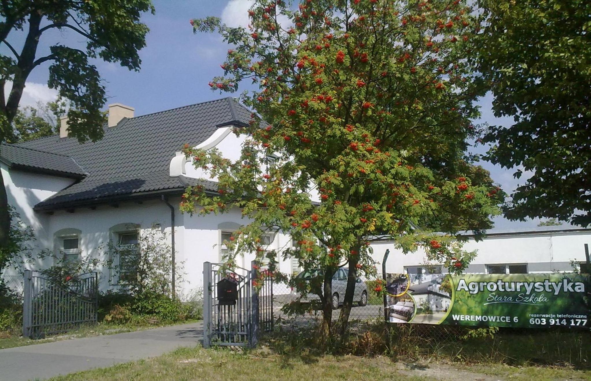 Photo 43