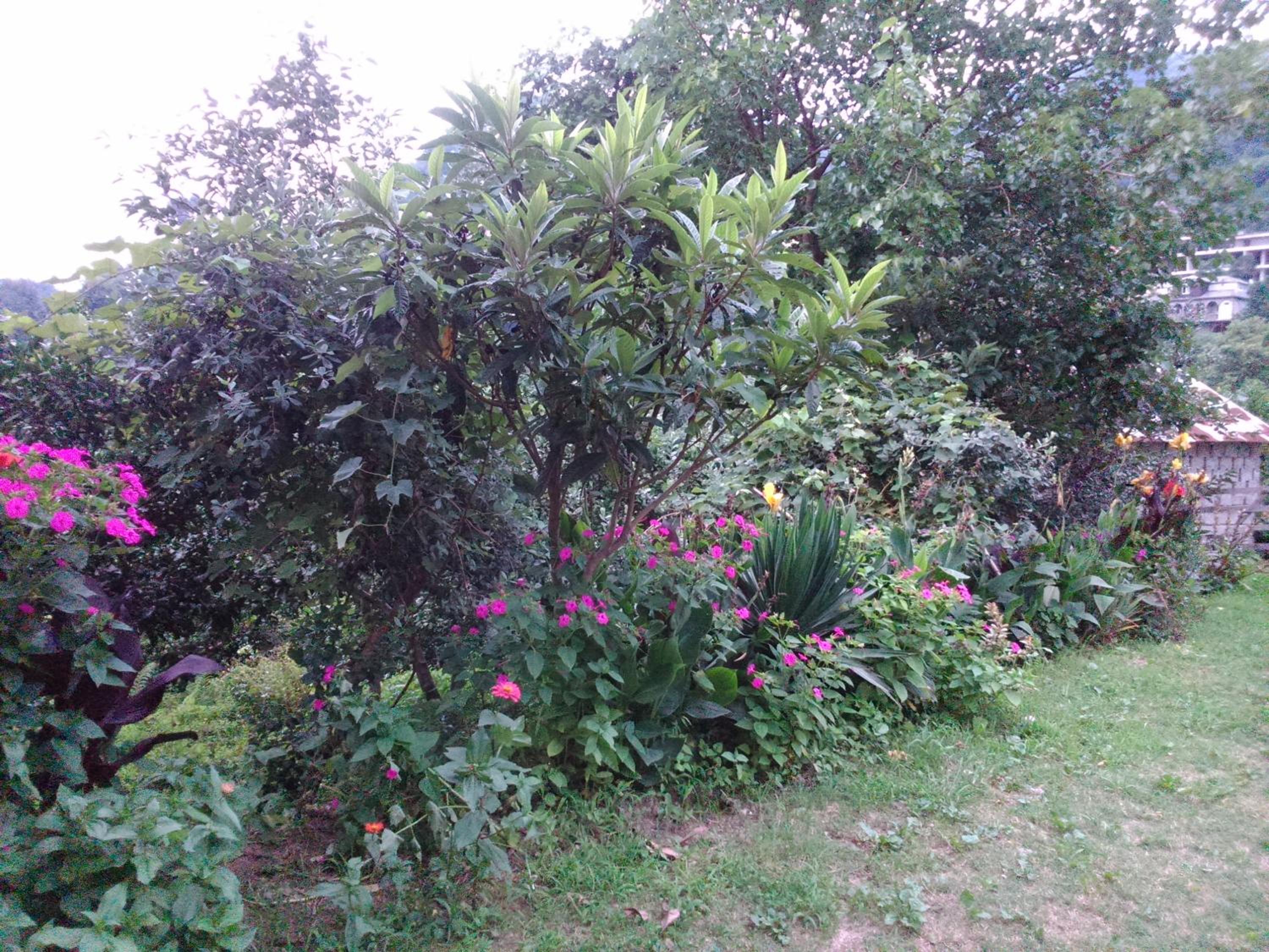 Photo 13