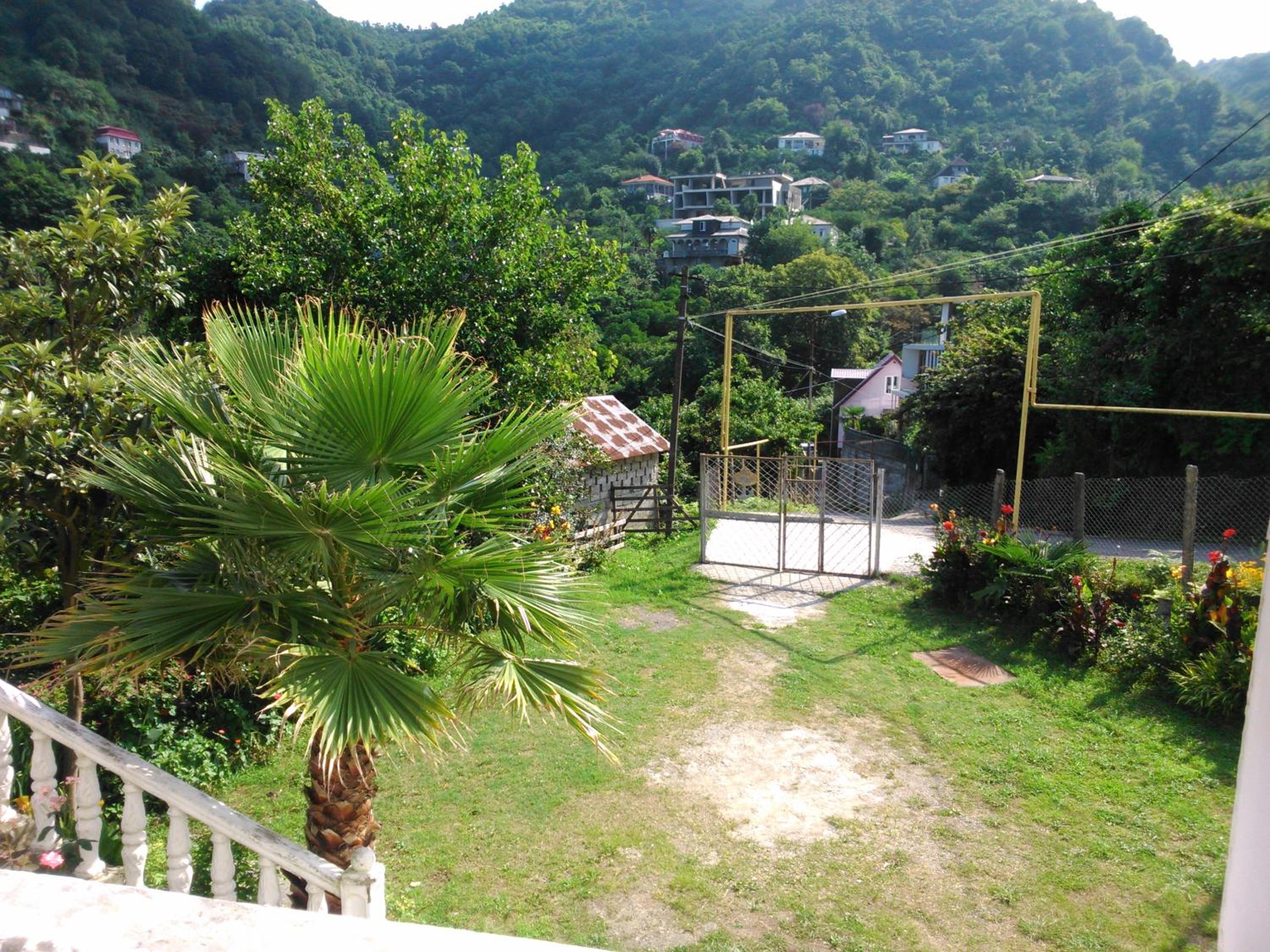 Photo 7