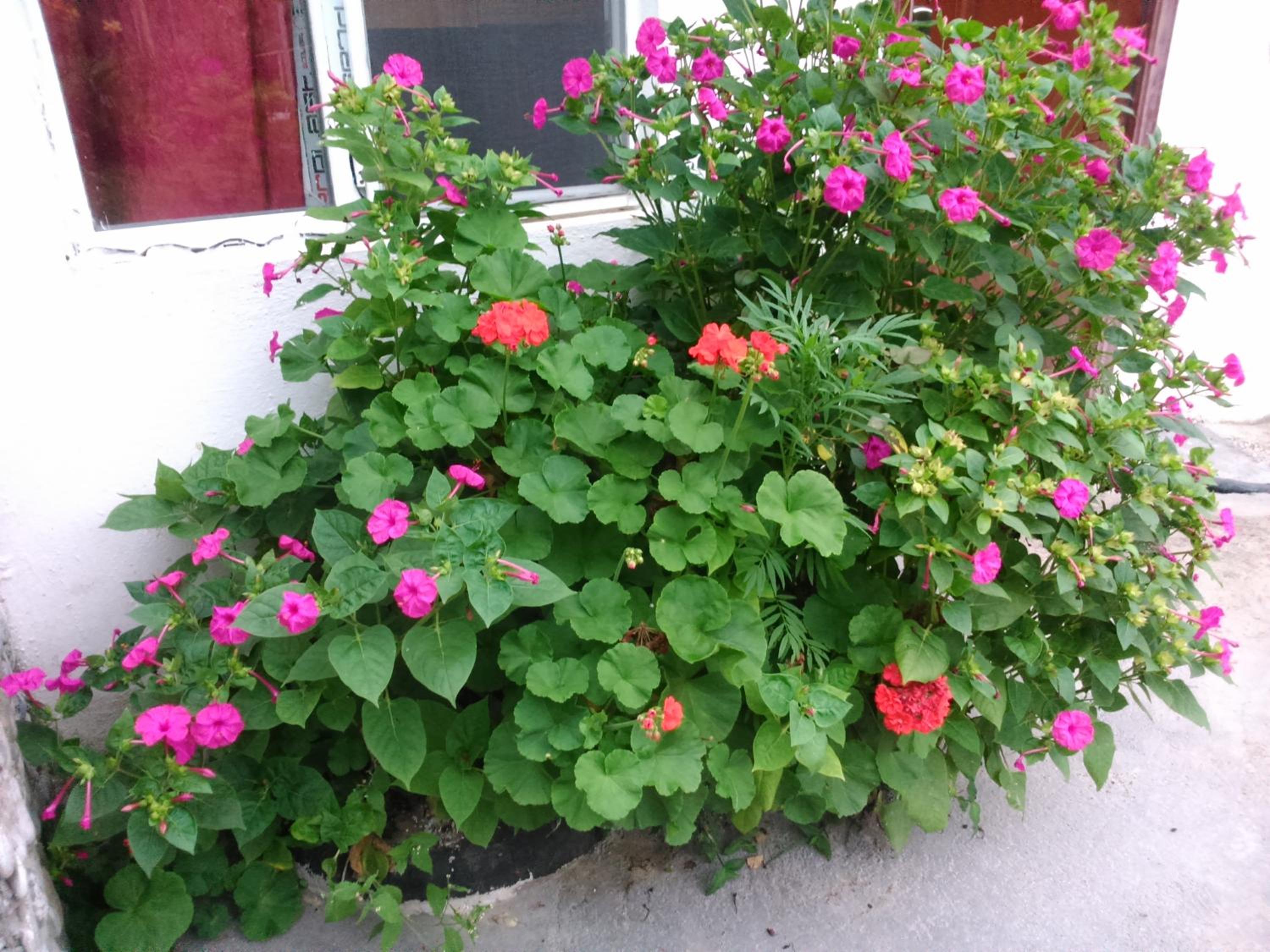 Photo 40