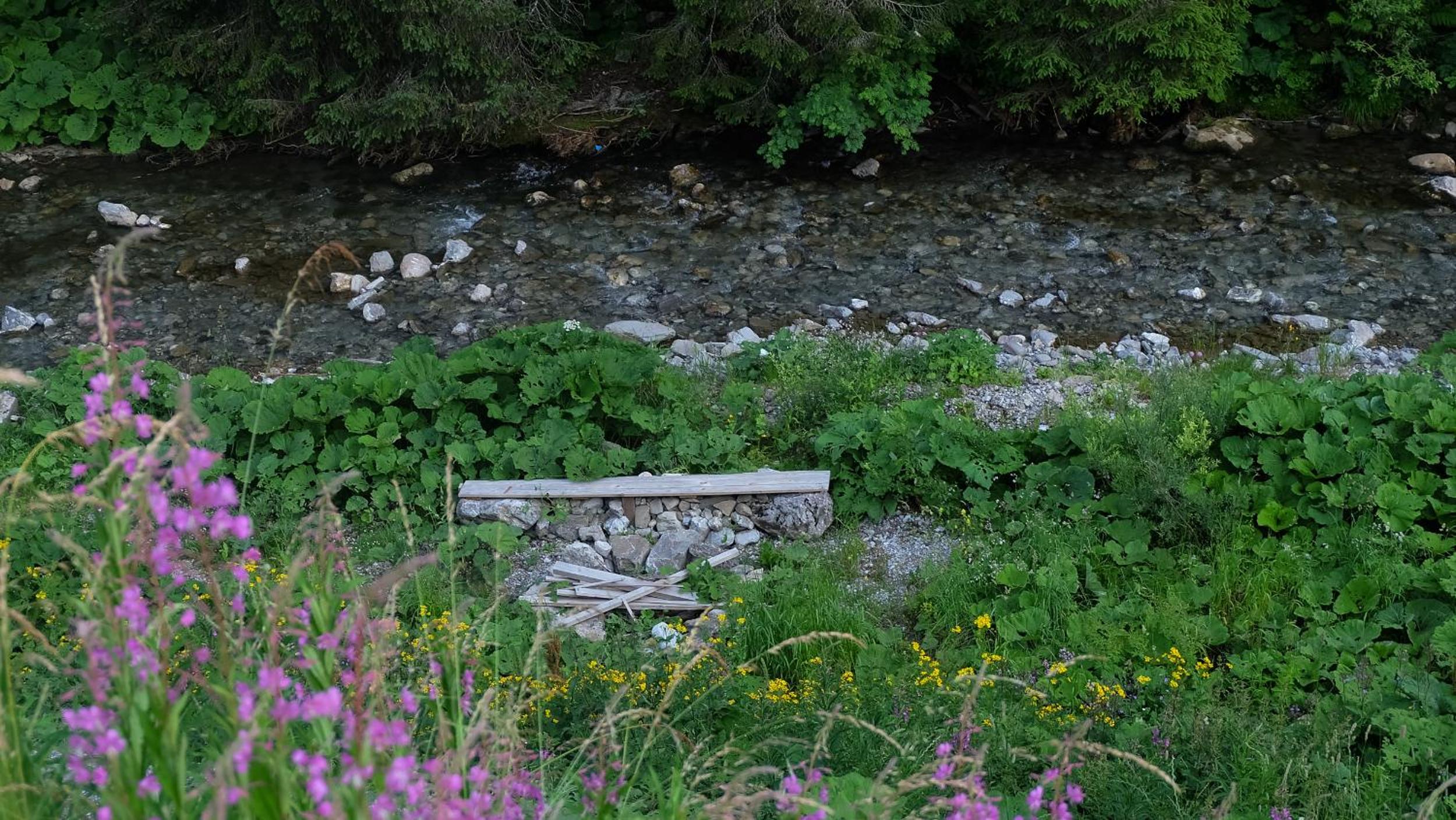 Photo 25