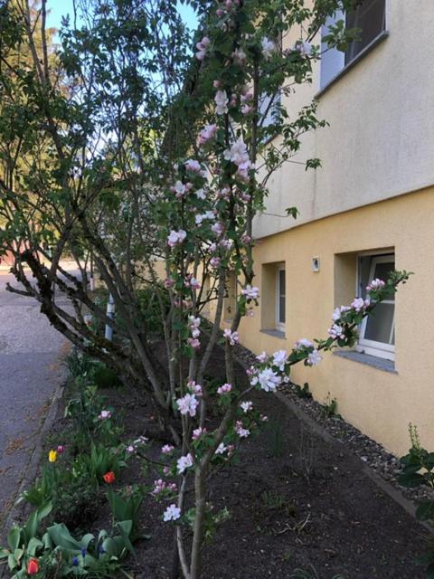 Feriendorf Waldfrieden, photo 9