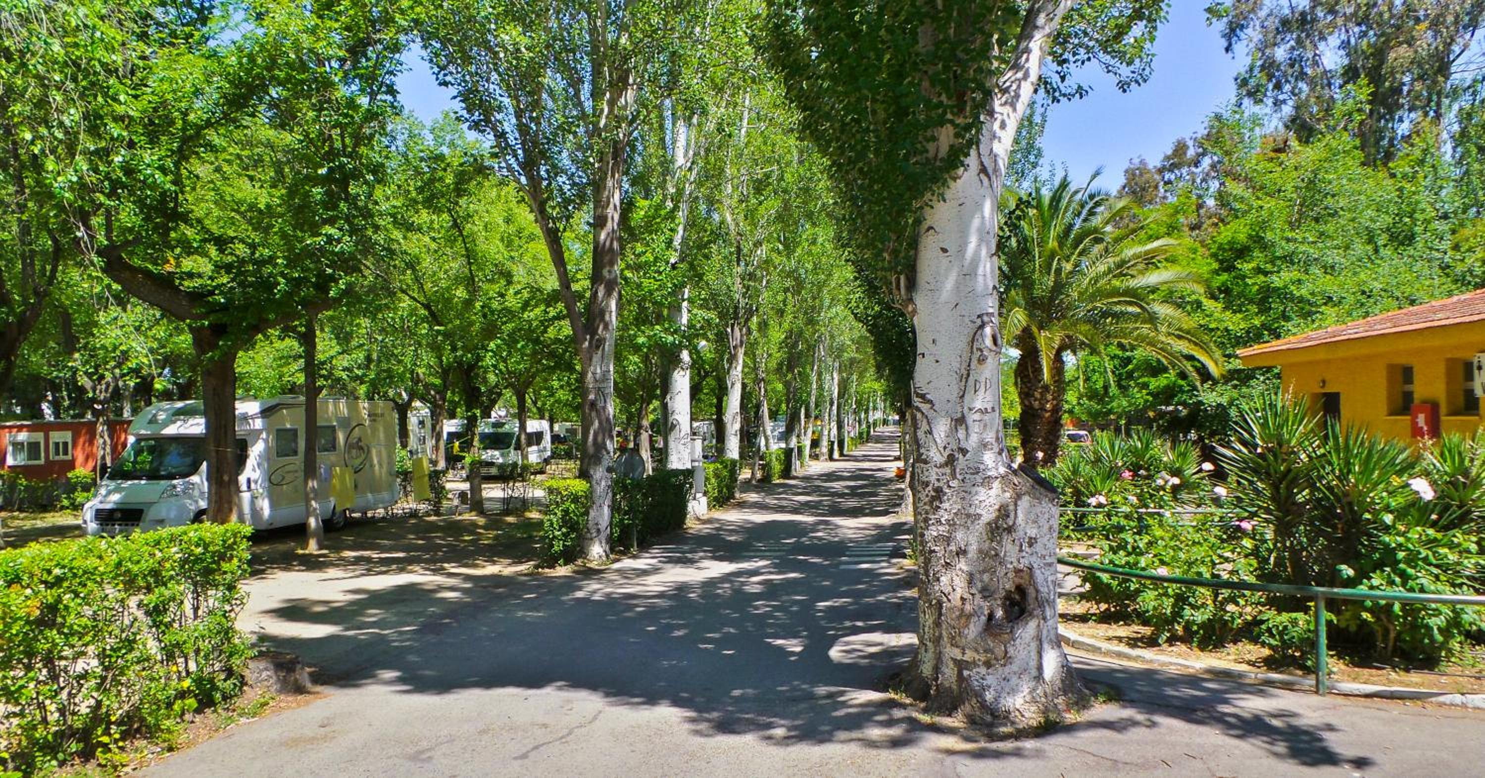 Getafe Vacations - Bungalows Alpha - Property Image 5