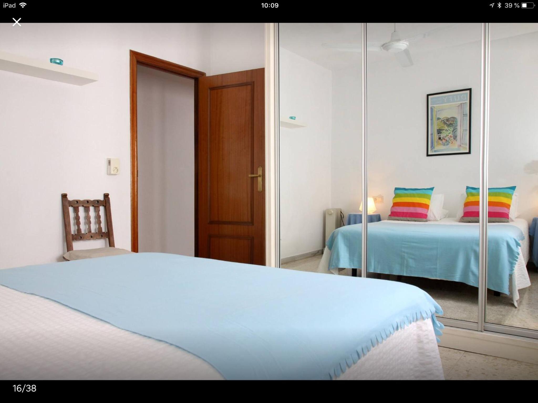 Golondrina photo 3