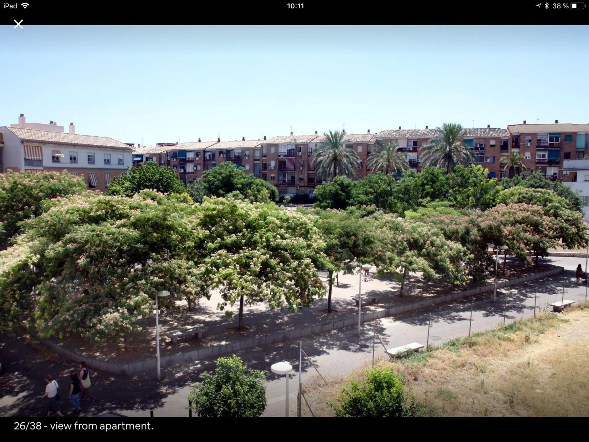 Golondrina photo 5