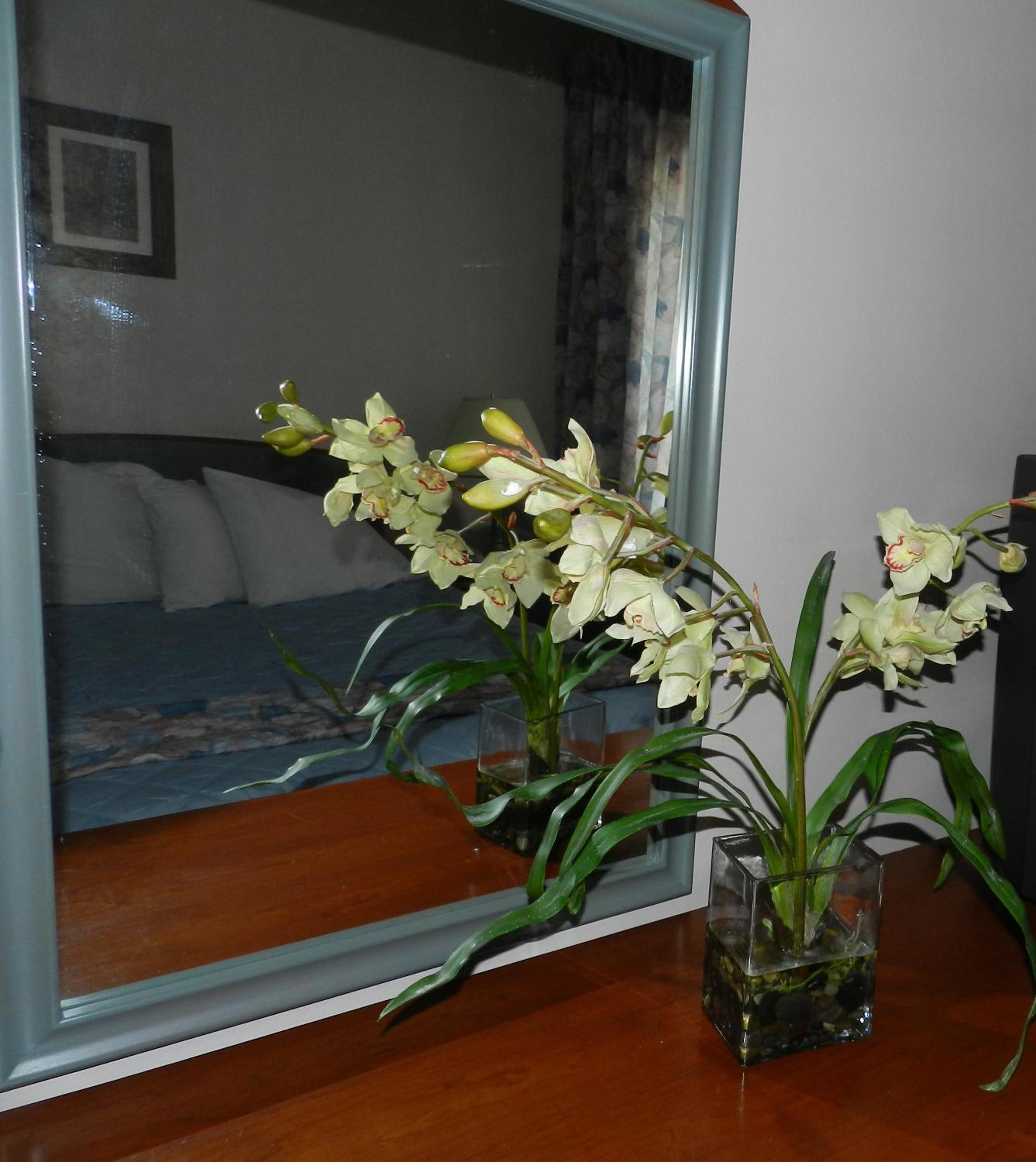 Photo 24