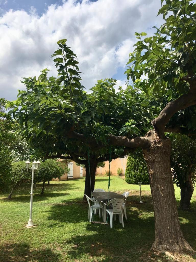 Sous Les Pins gîtes et chambres d'hôtes, photo 65
