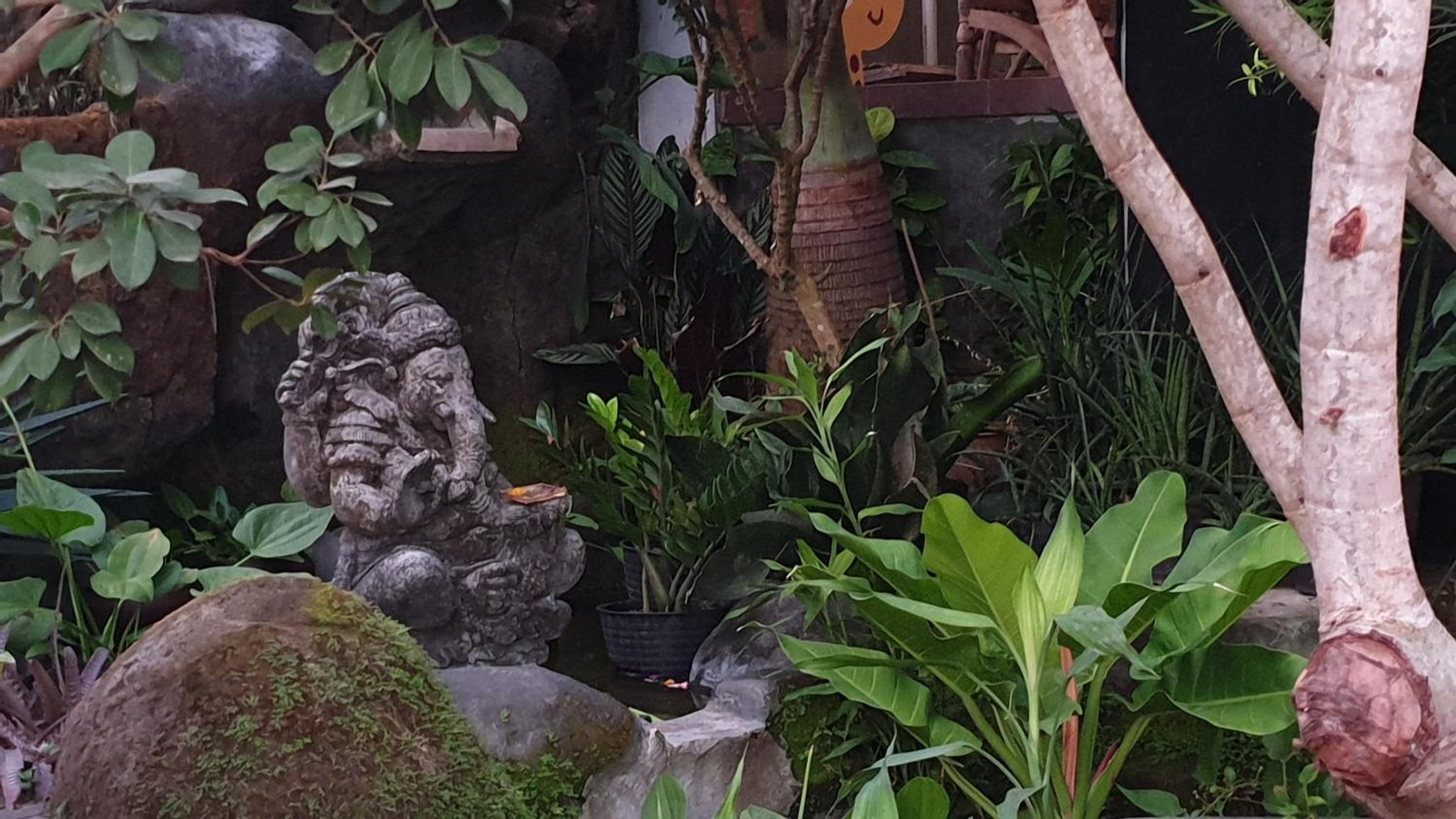 Clover Bali