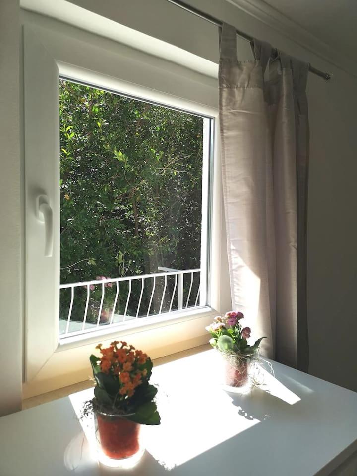 Apartment Ivka
