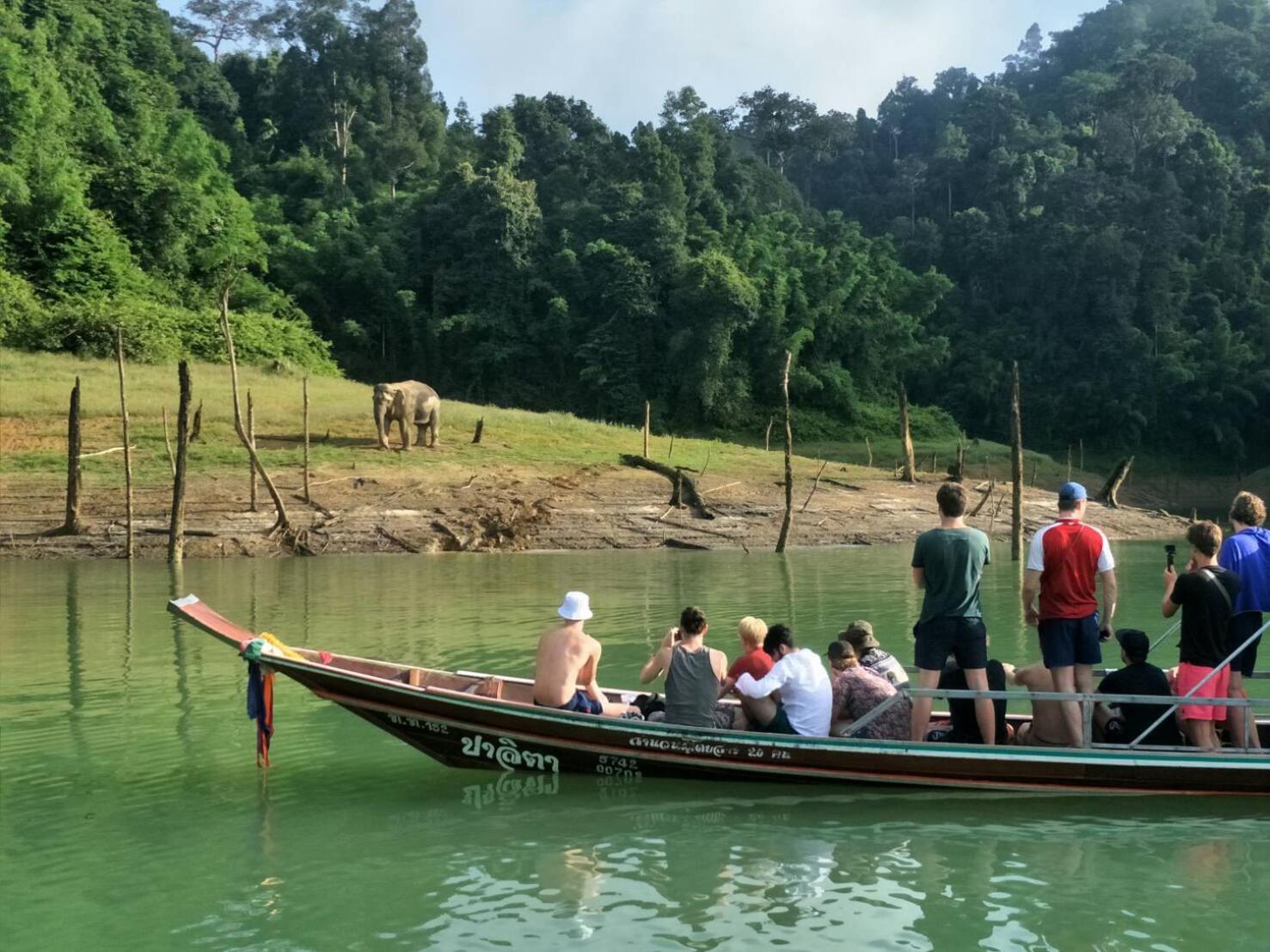 Coco Khao Sok Hostel view 4