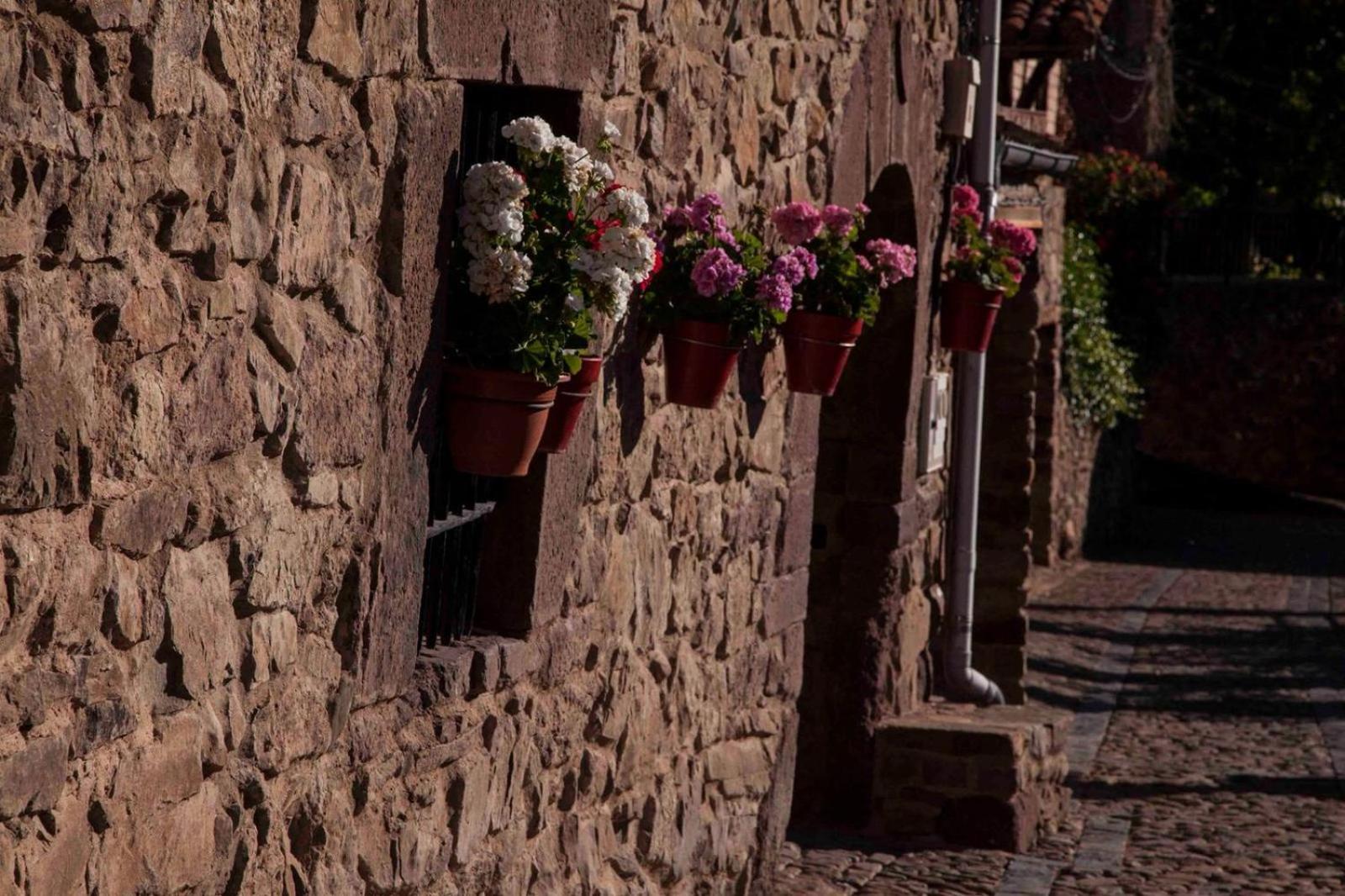 Hotel Rural Camero Viejo