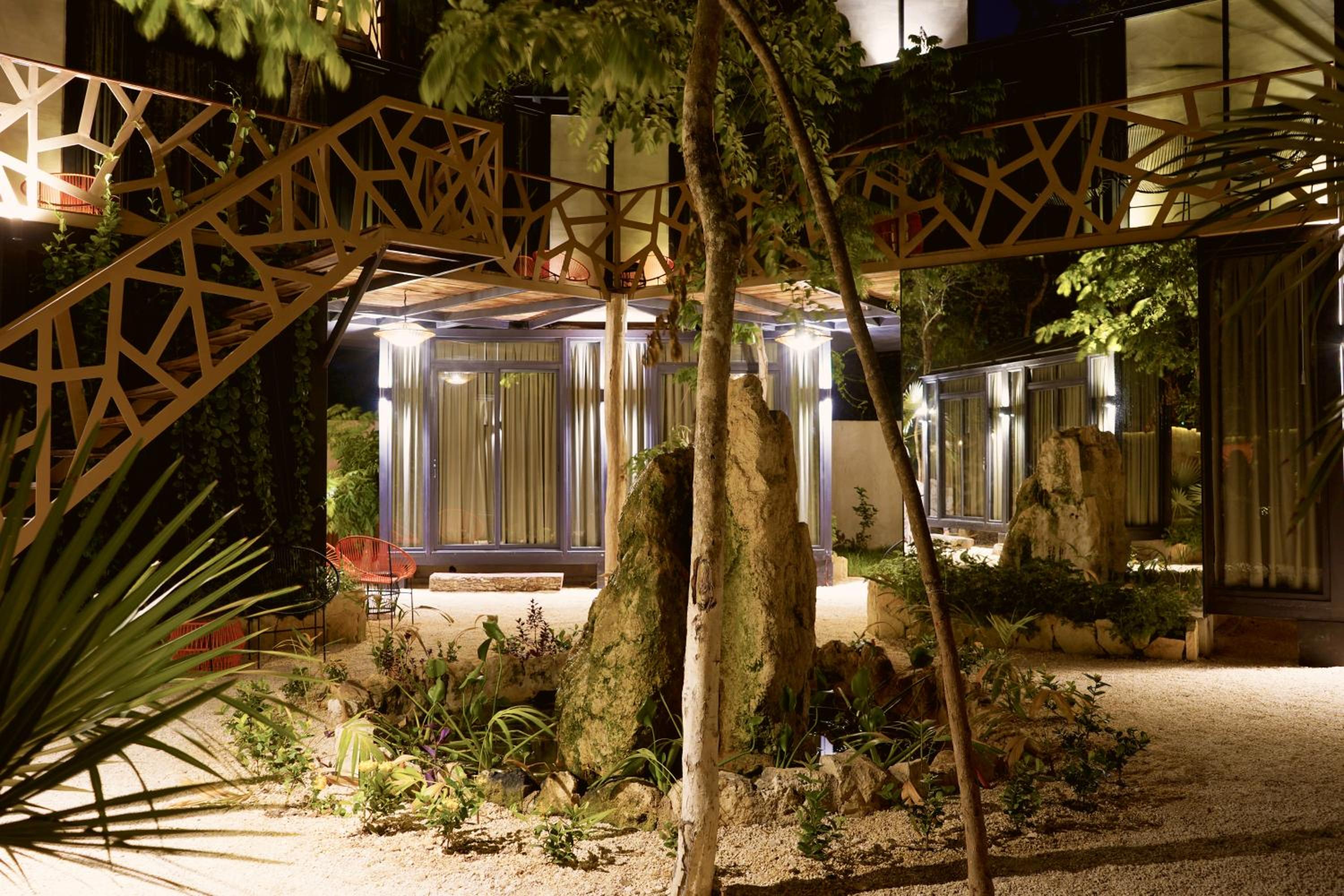Bufo Alvarius - Property Image 44