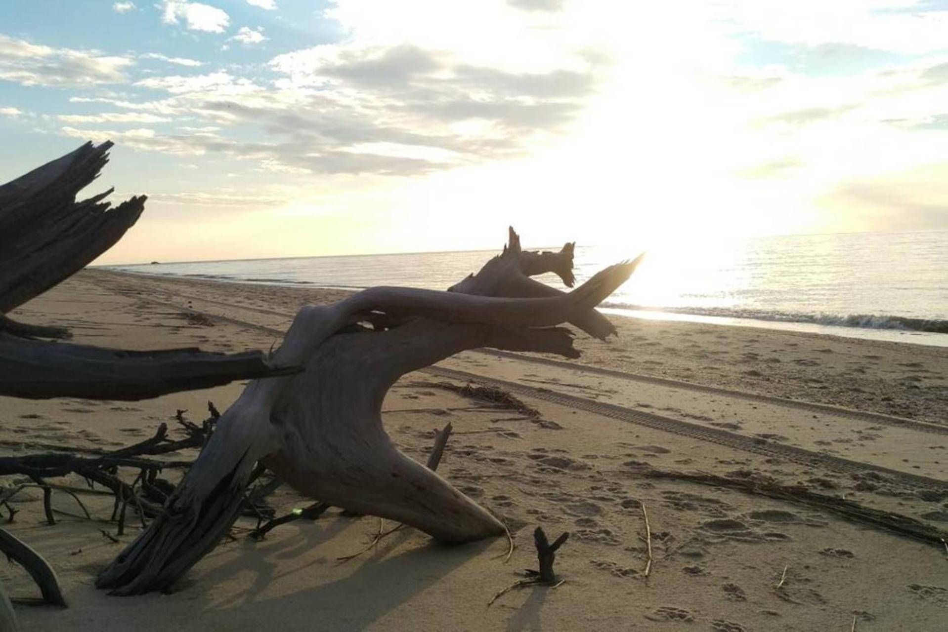 Wildwoof Beach Bungalow @ NW. 3 Blocks to Beach! view 4