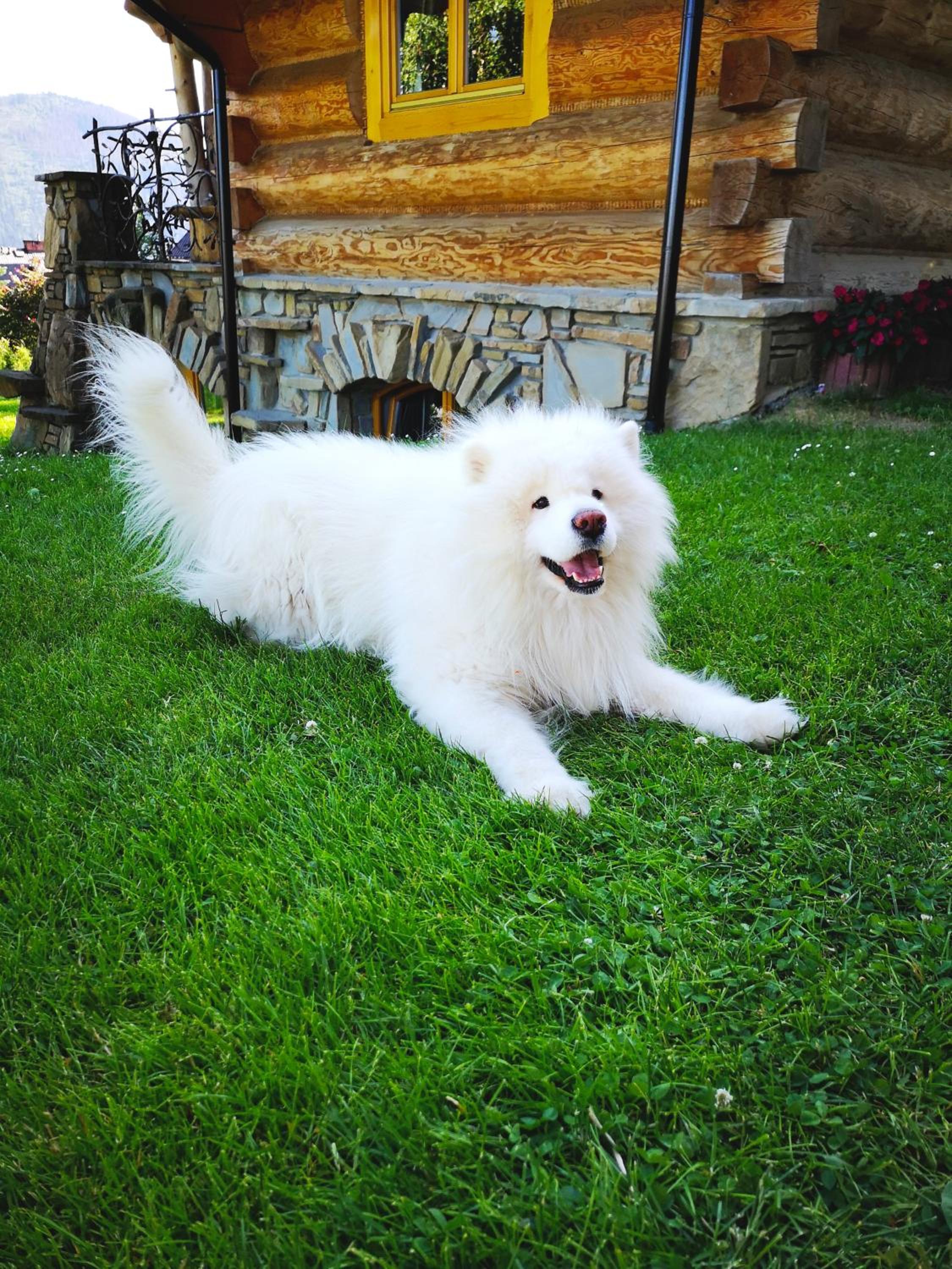 Photo 46