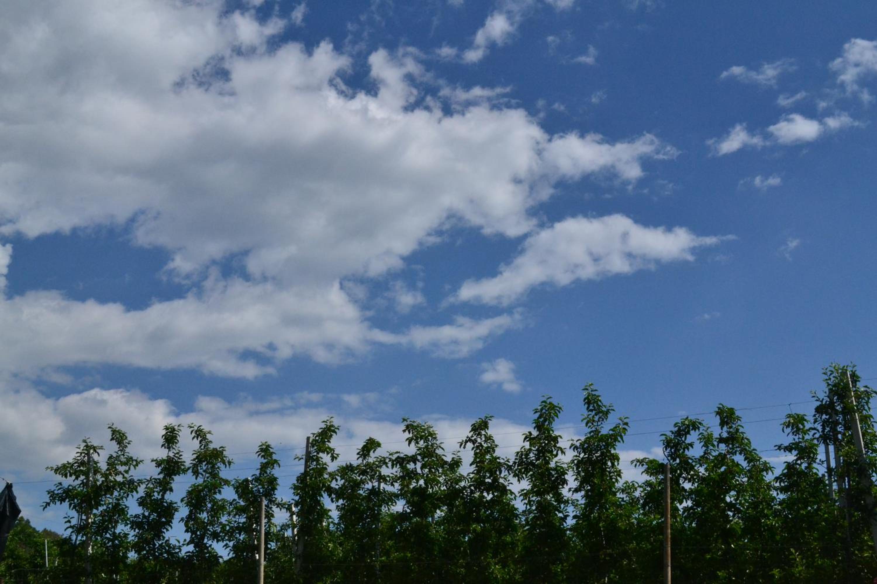 Agritur Maso Forcola