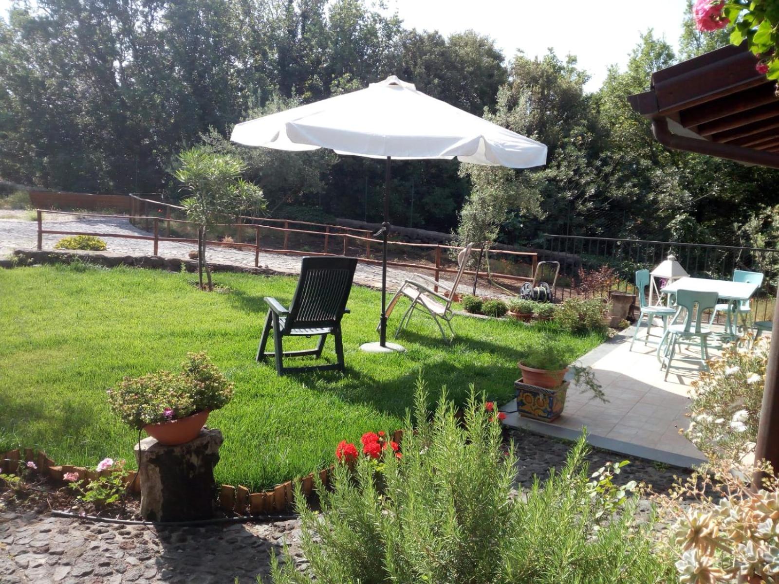 HORSE HOUSE view 2