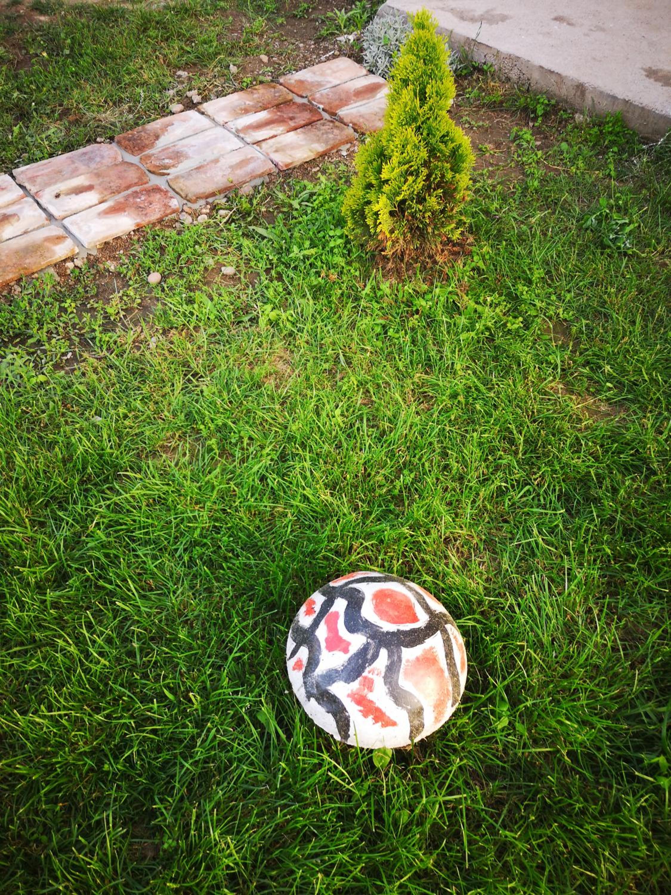 Photo 22