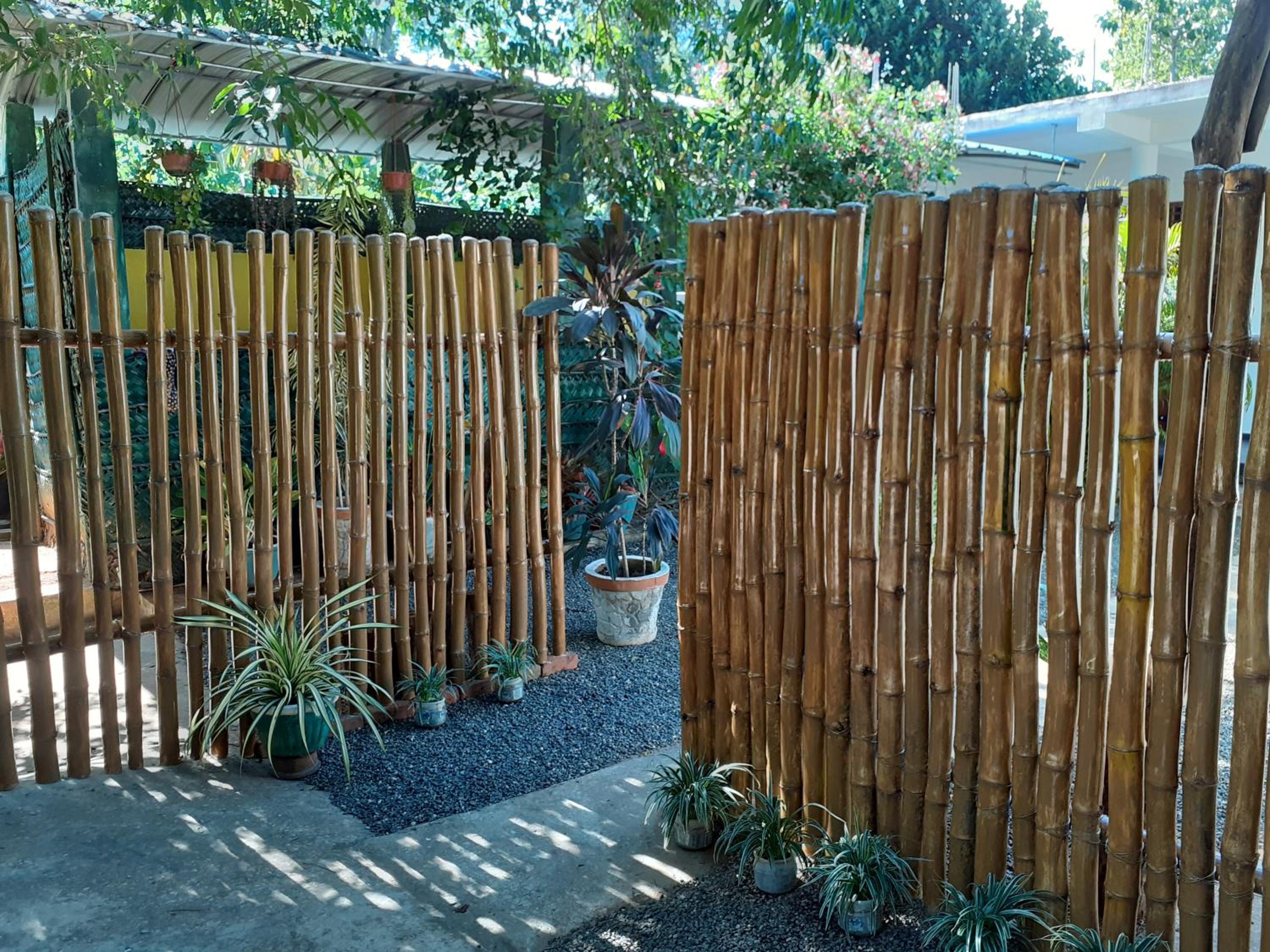 Photo 12