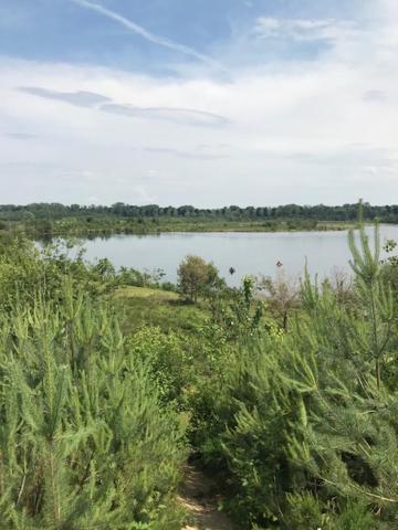 Bij de lindeboom