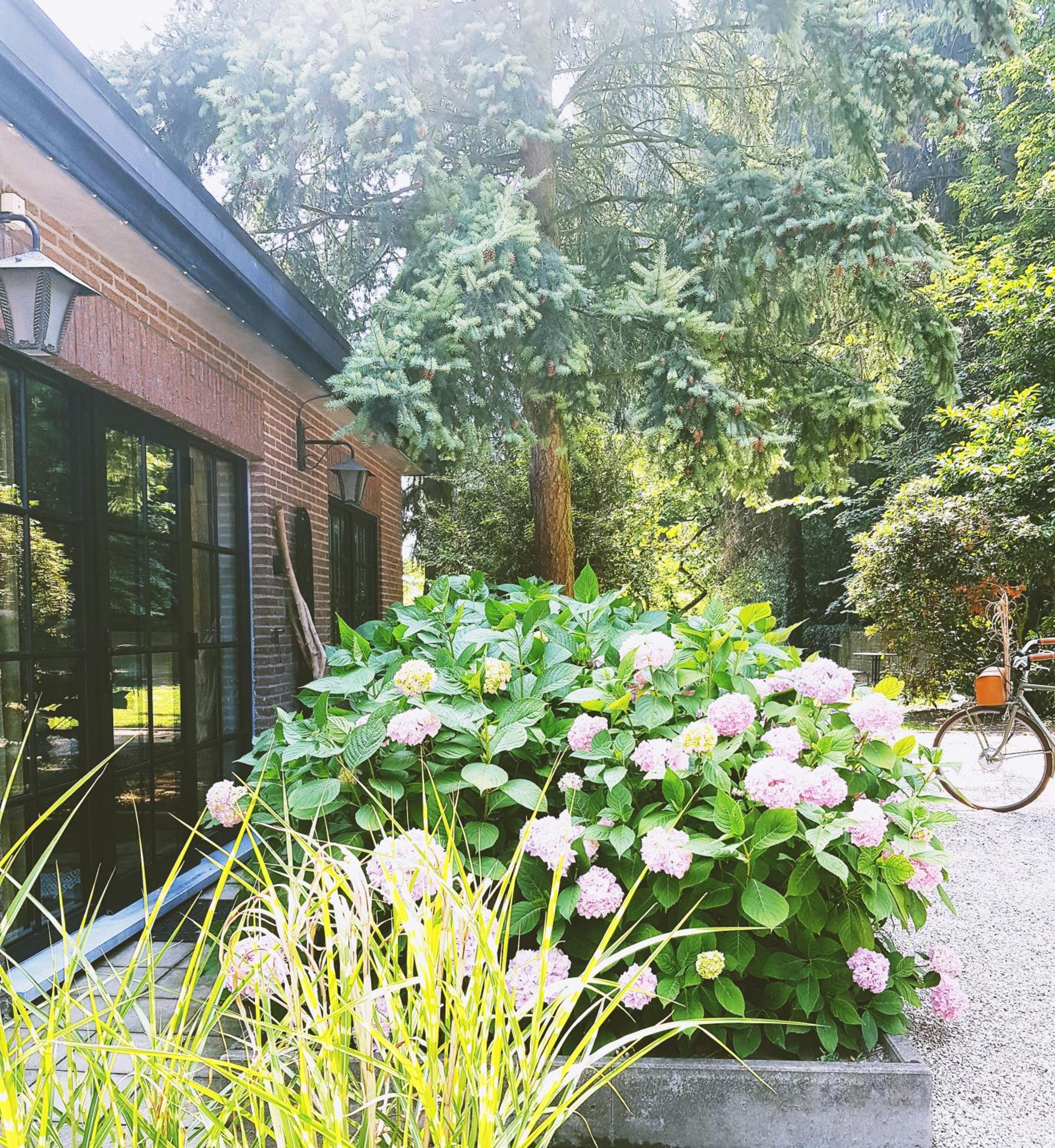Vakantiehuis ABEL