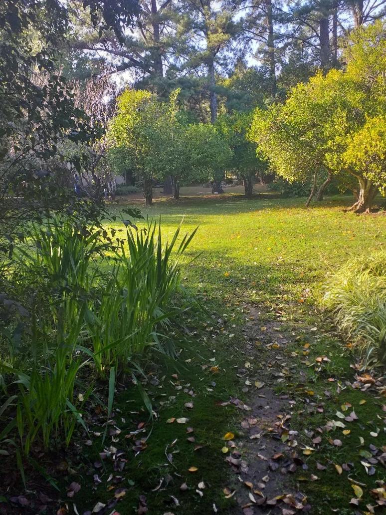 Photo 29