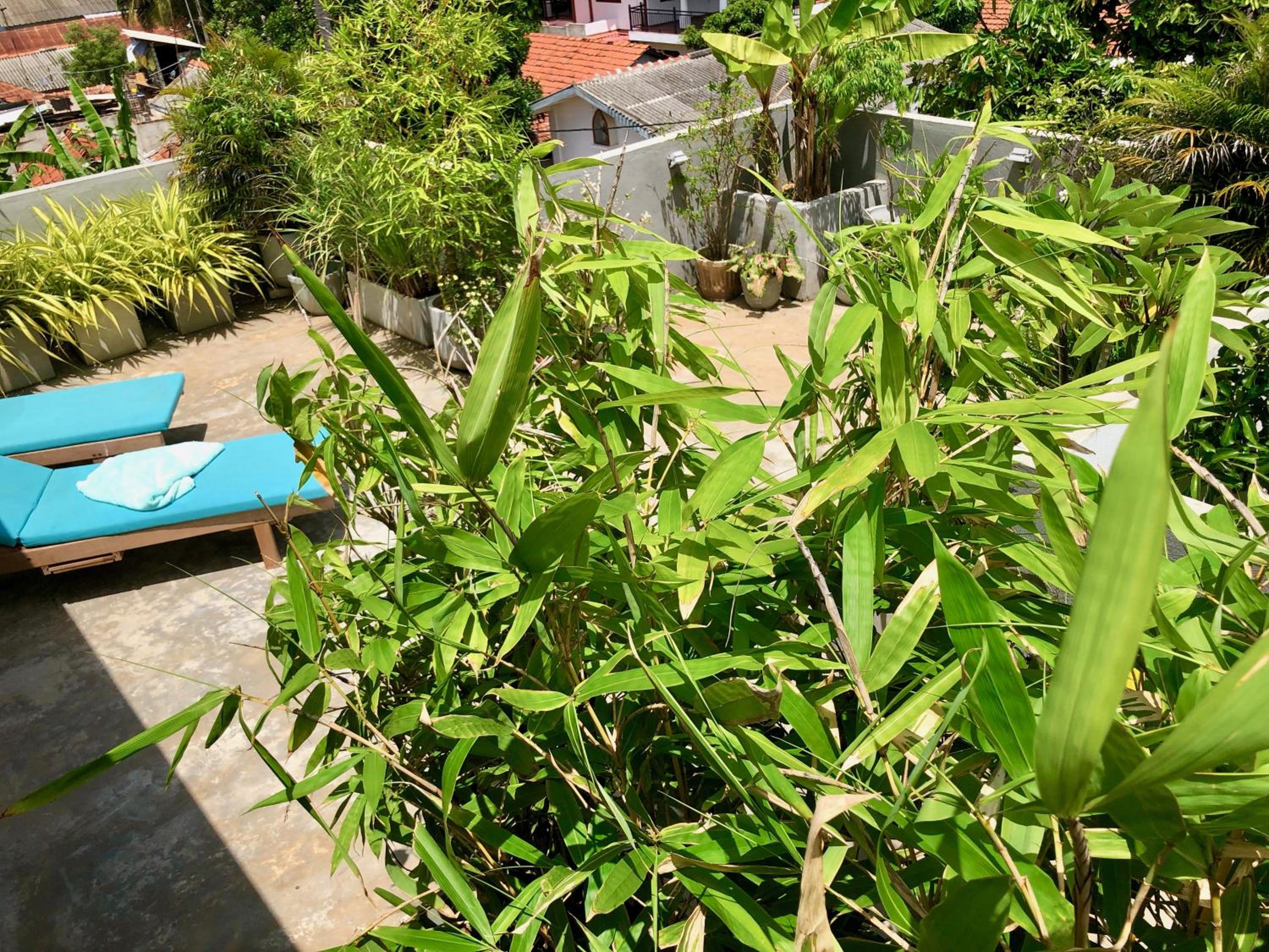 Ok Cabana Negombo view 5