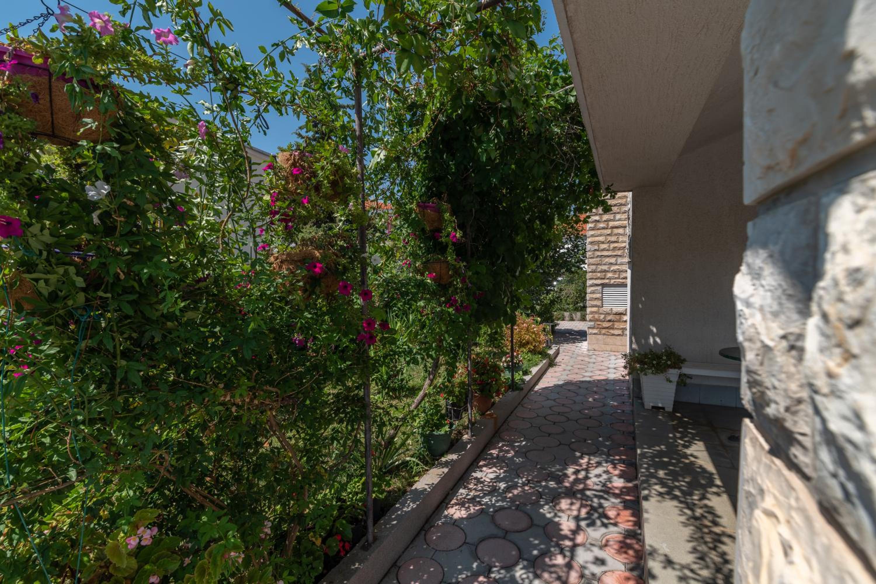 Apartments Vojin