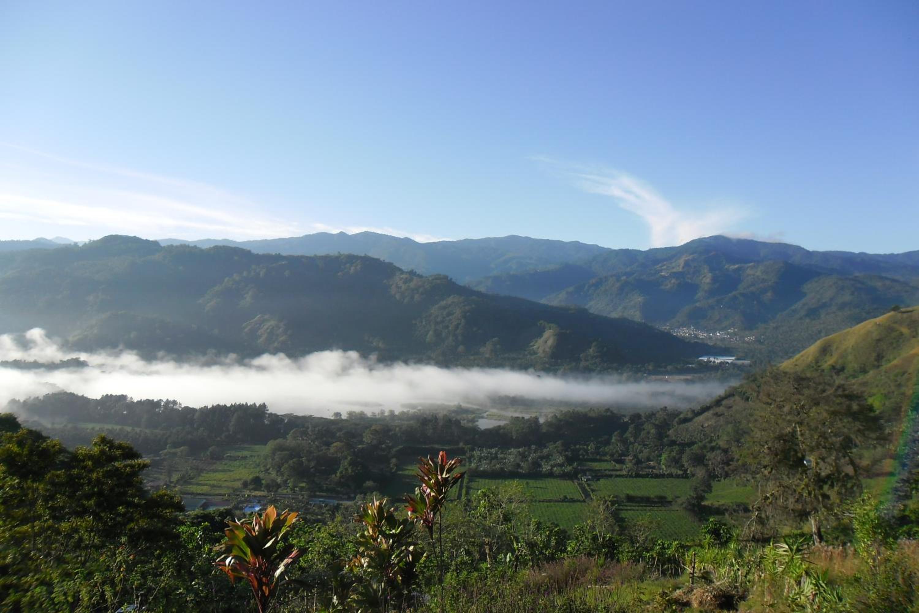 Rinconcito Verde