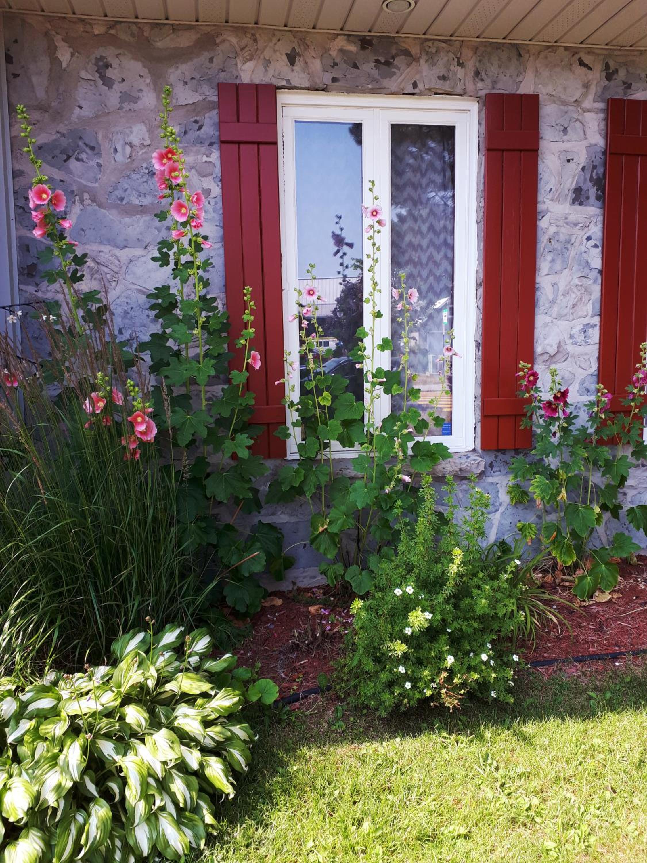 Au Gîte de la Chute